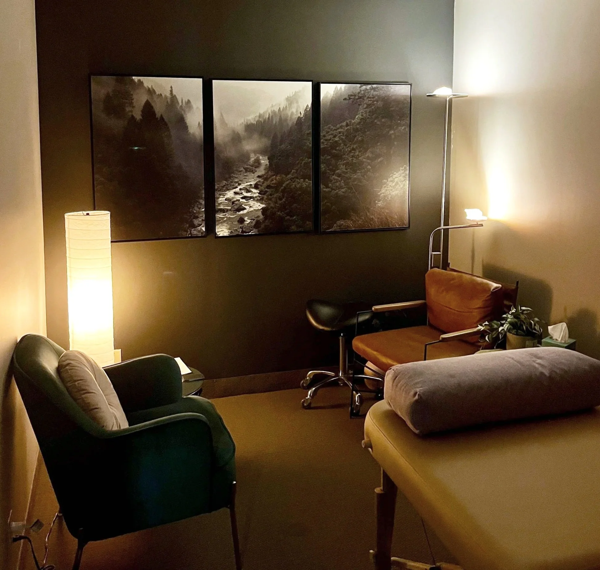 Somatic Therapy and Transforming Touch in Hopkins, MN. A cozy living room with a green armchair, a bed with a pillow, a brown cushioned chair, a small plant, and artwork of a mountain forest scene on the wall. The room is softly lit by warm lamps.