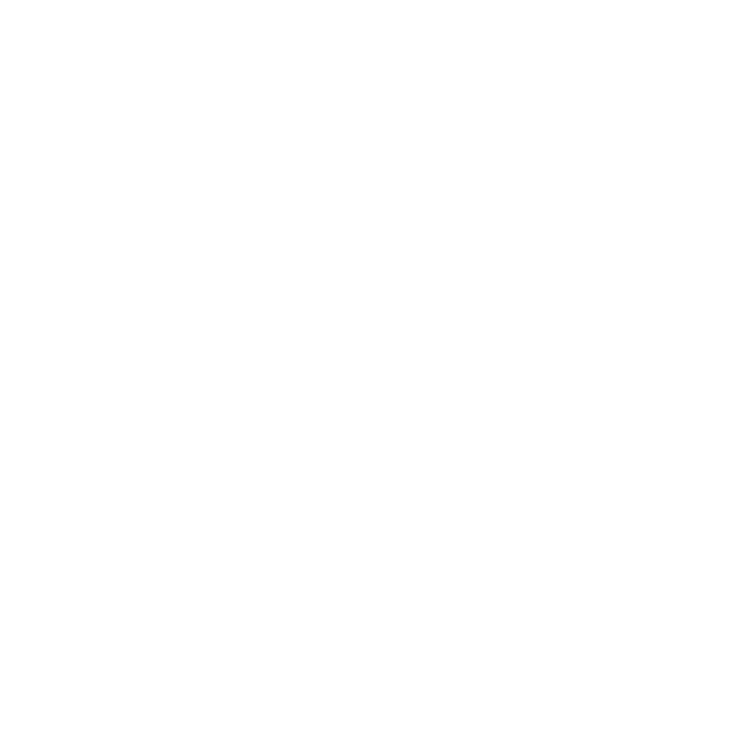 13 - Ikoncept / Data / Development