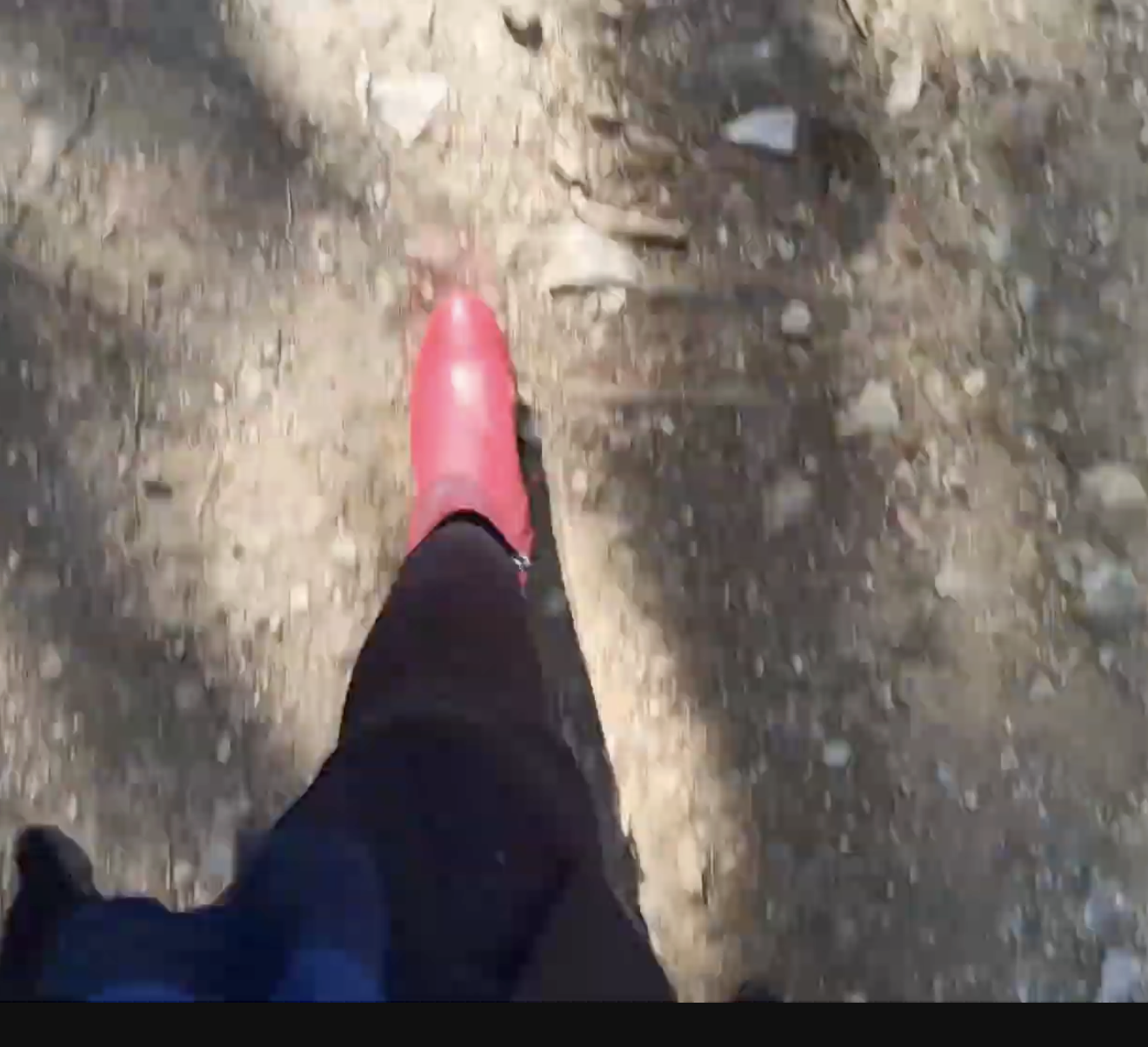 Screenshot 2026-02-17 at 7.16.08 PM.png