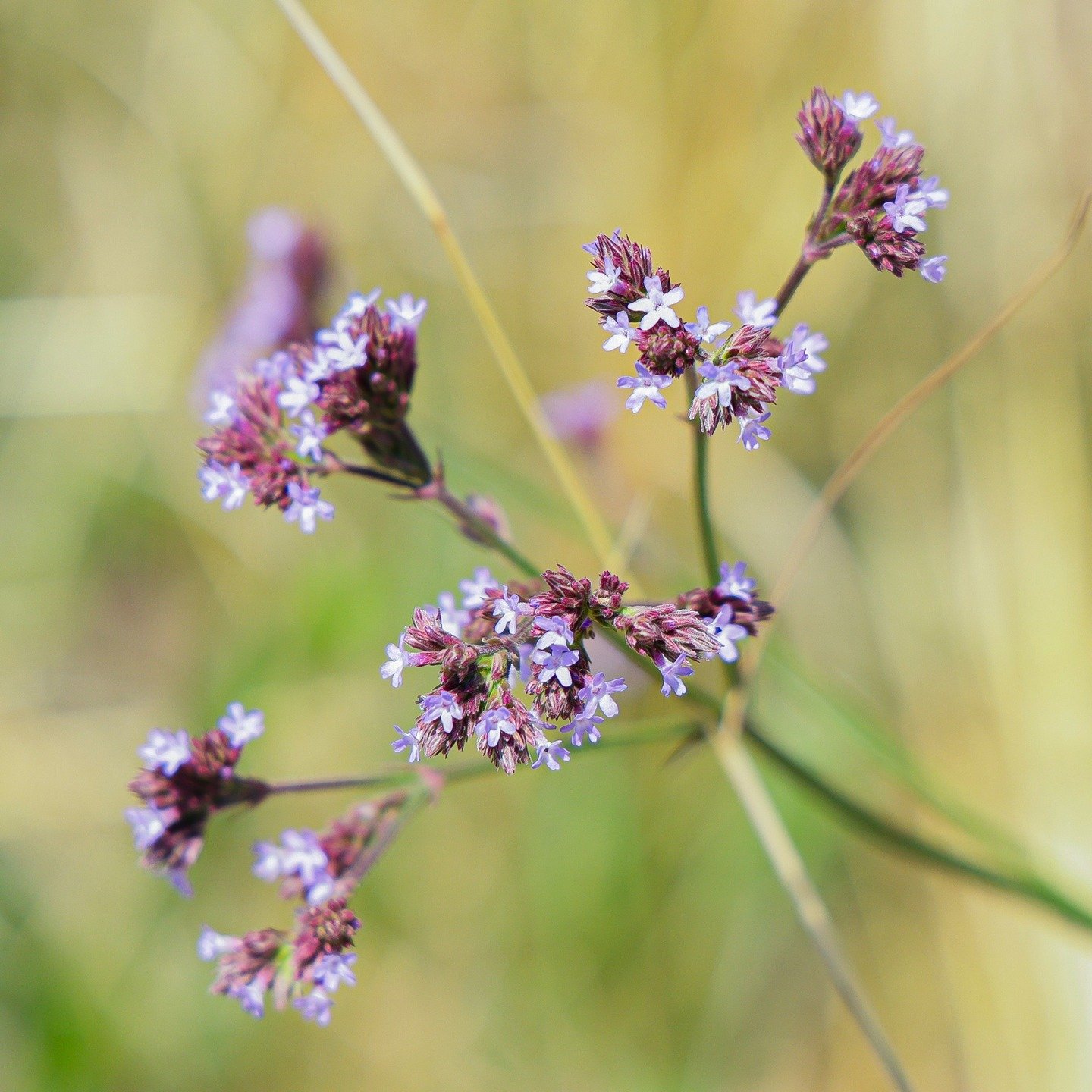 Wow!! It's the small things that count.