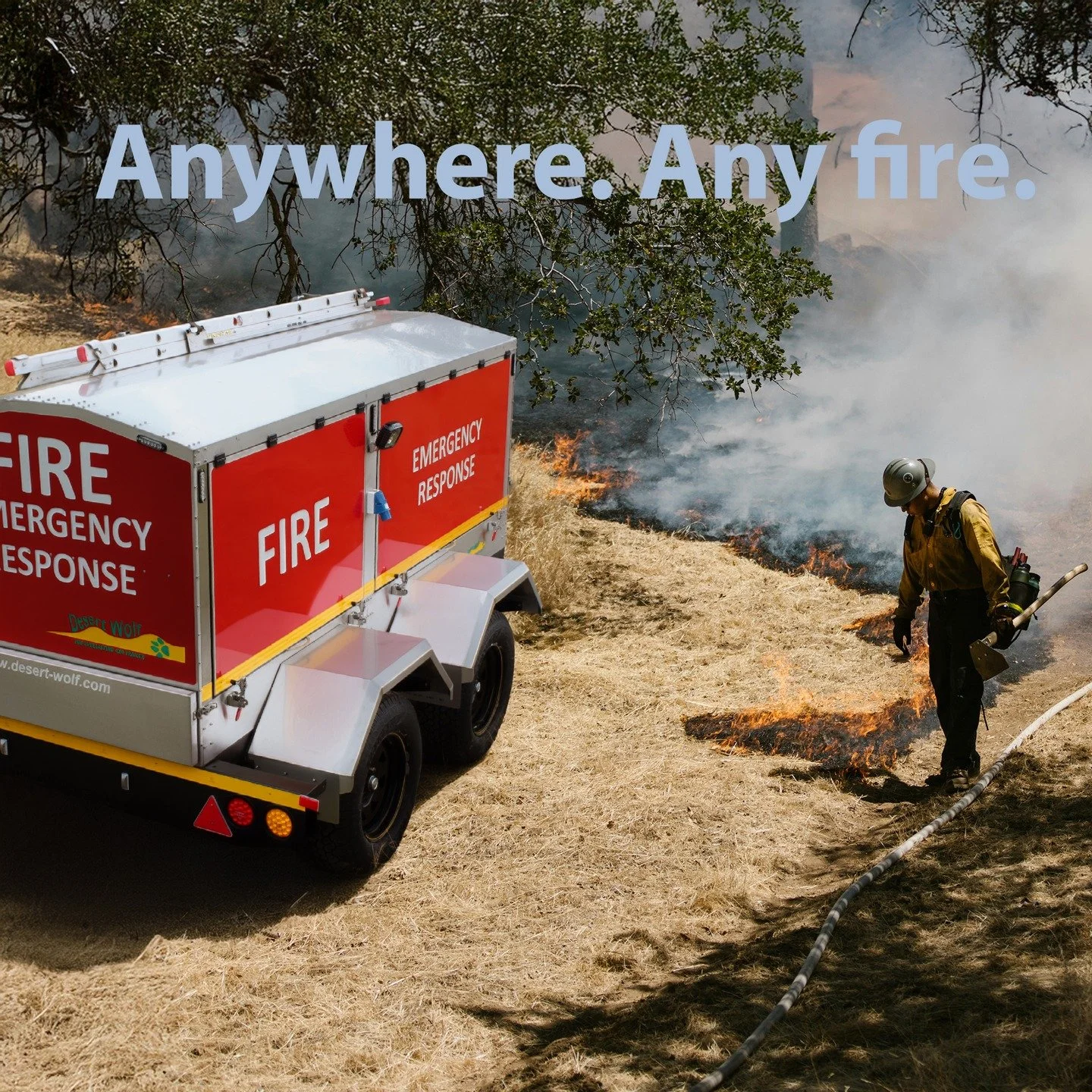 Desert Wolf, anywhere any fire