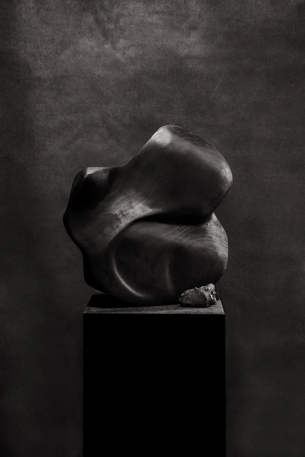Whirl & Whittle_Frieda wood sculptures_collection In the gaps left behind_Photo by Age of Indie_.jpg