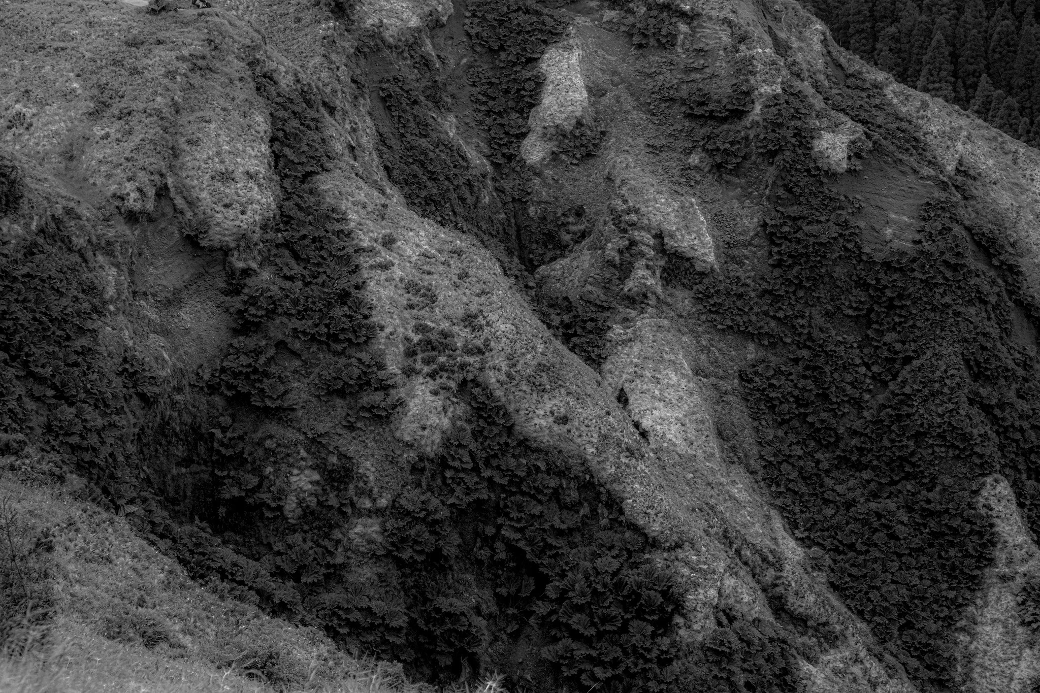 DSCF7933-2.jpg