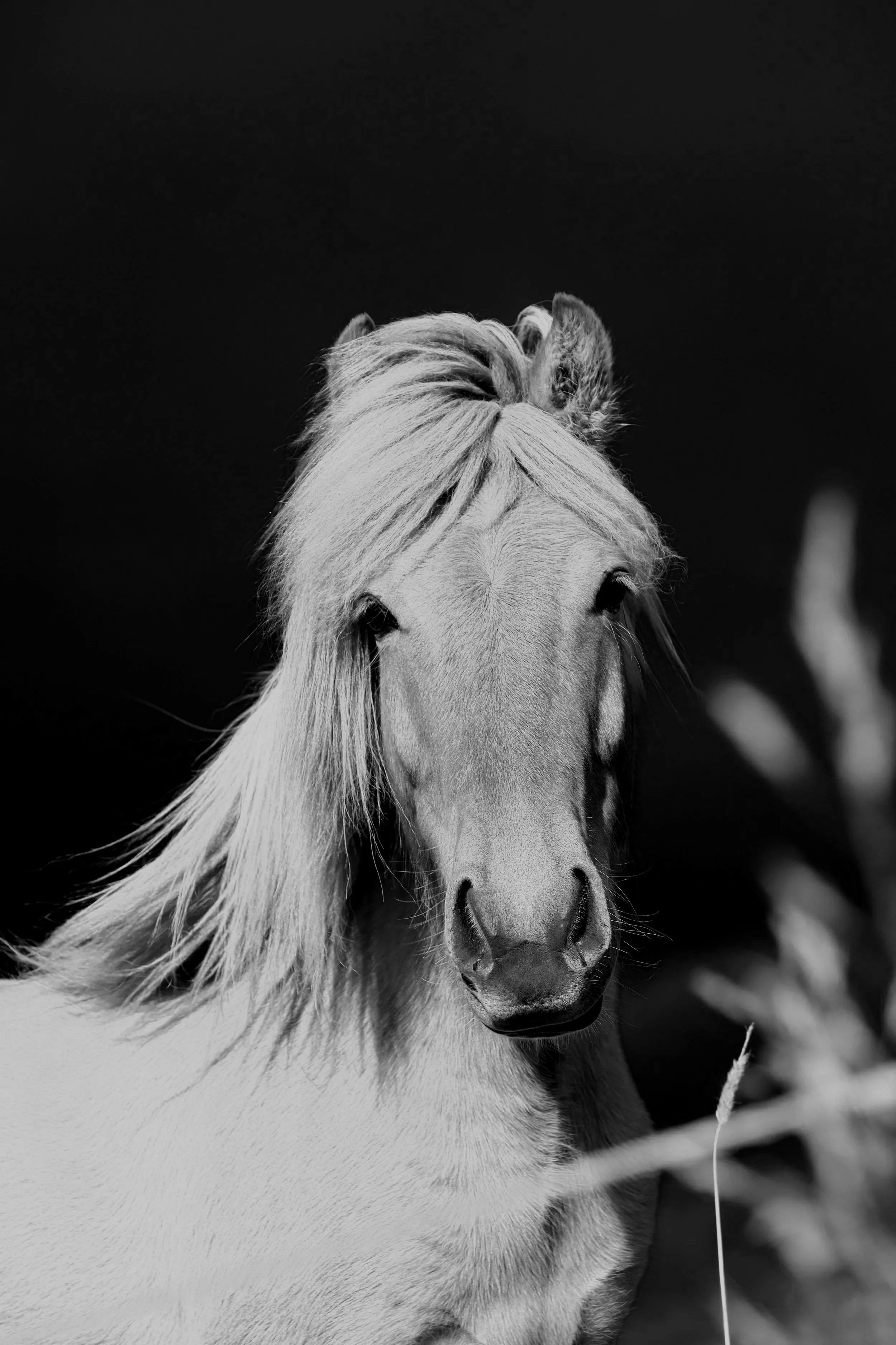 DSCF6769.jpg