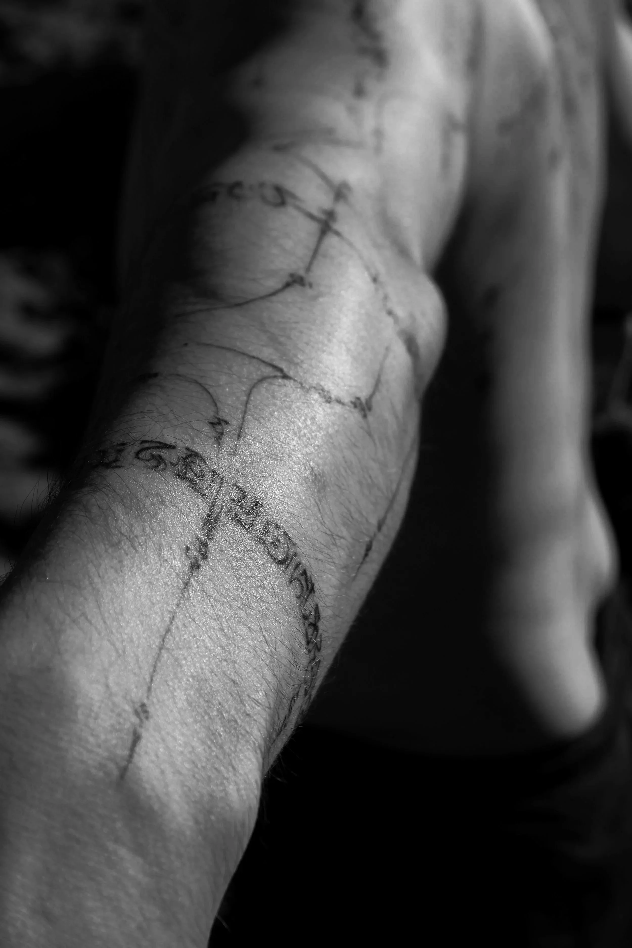 DSCF7525.jpg