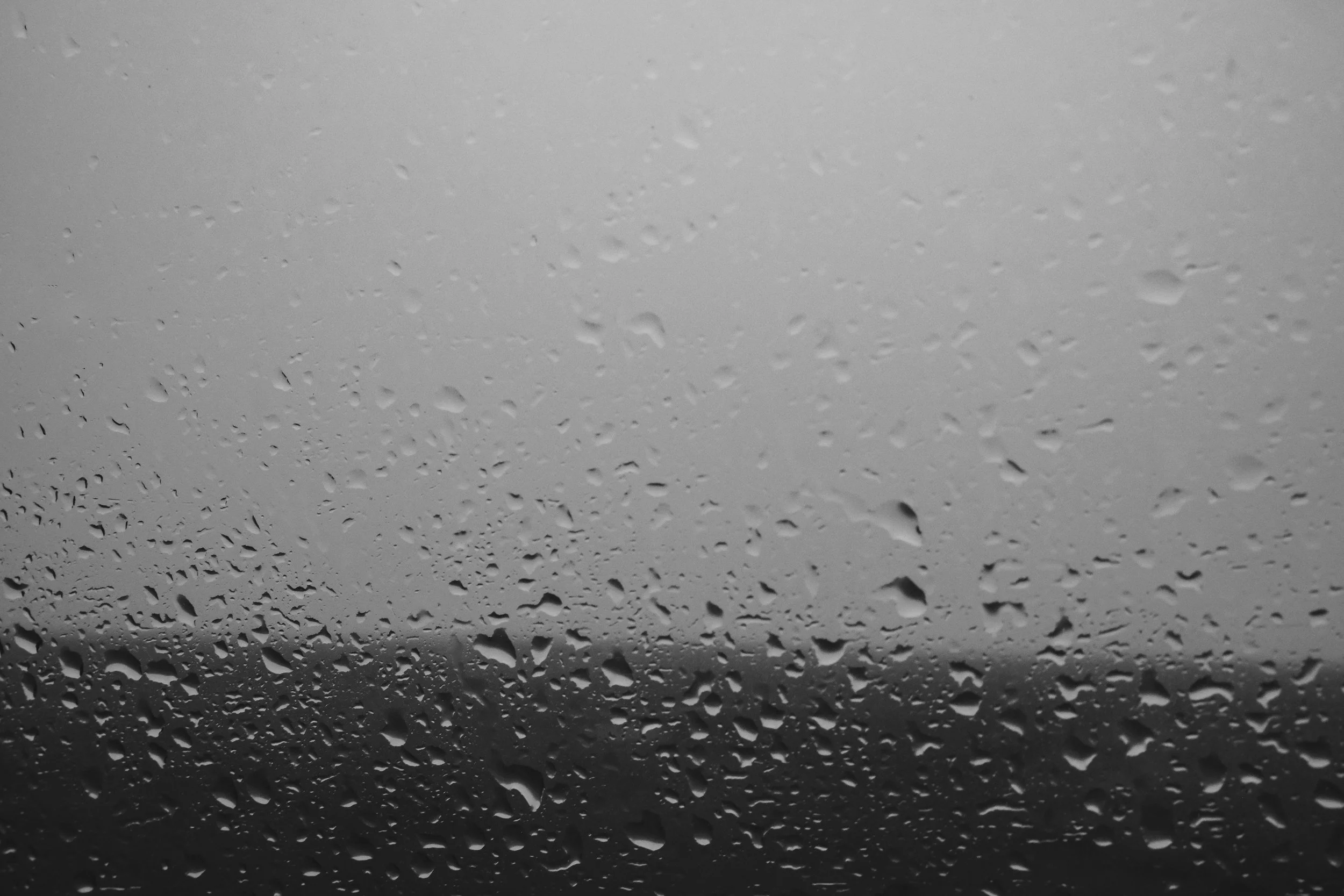 DSCF6091.jpg