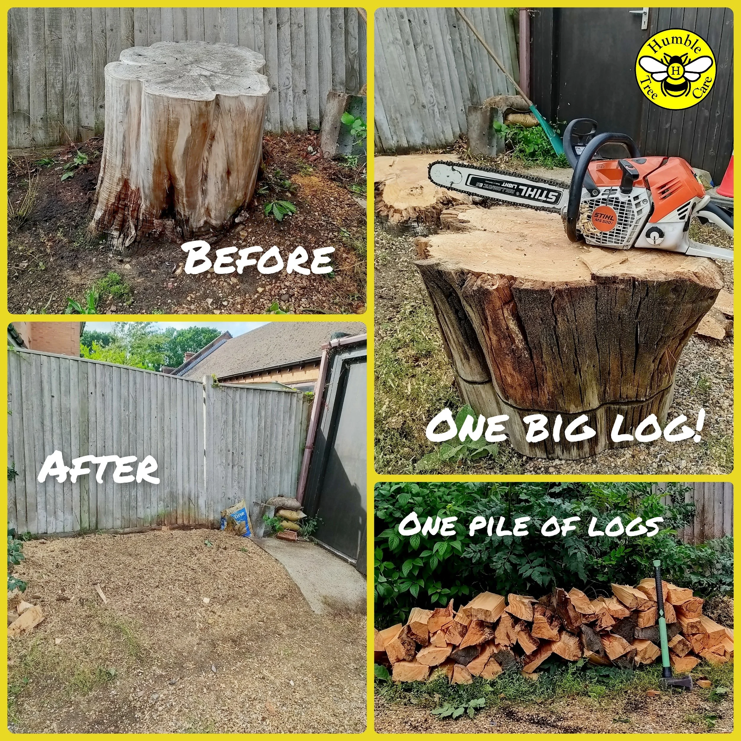 Old Stump Removal