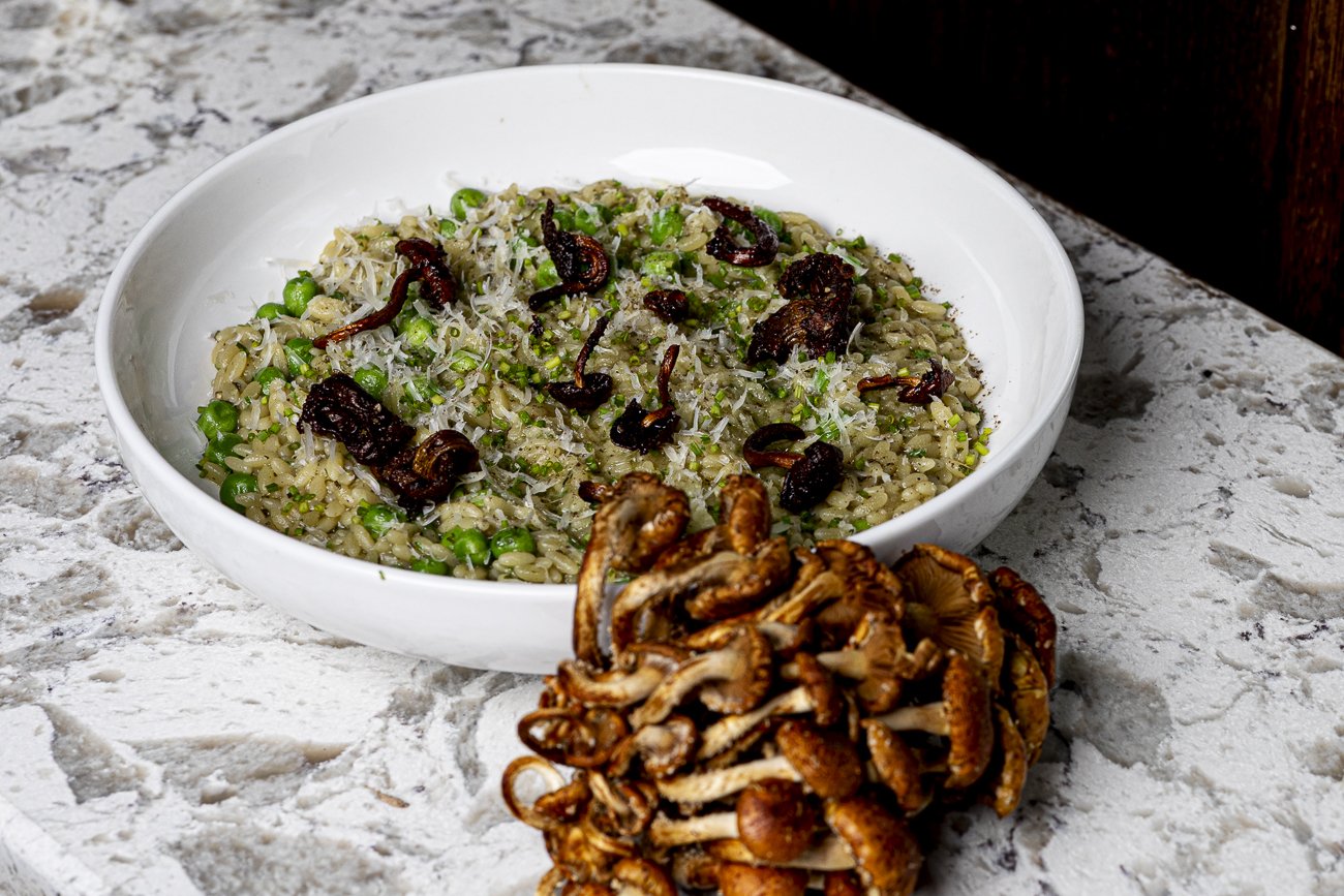 OH_LC_Orzo-2.jpg