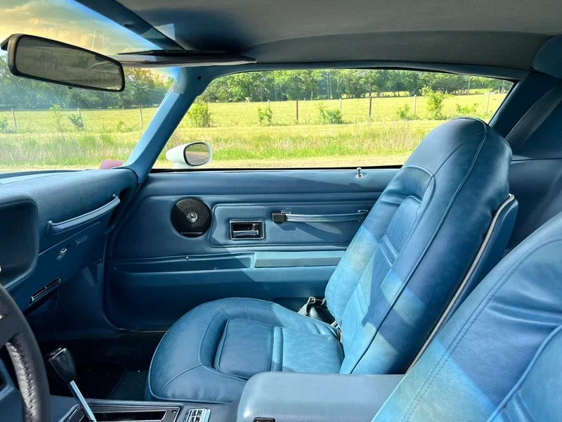 1974-pontiac-trans-am-68fa5697bcf5b.webp