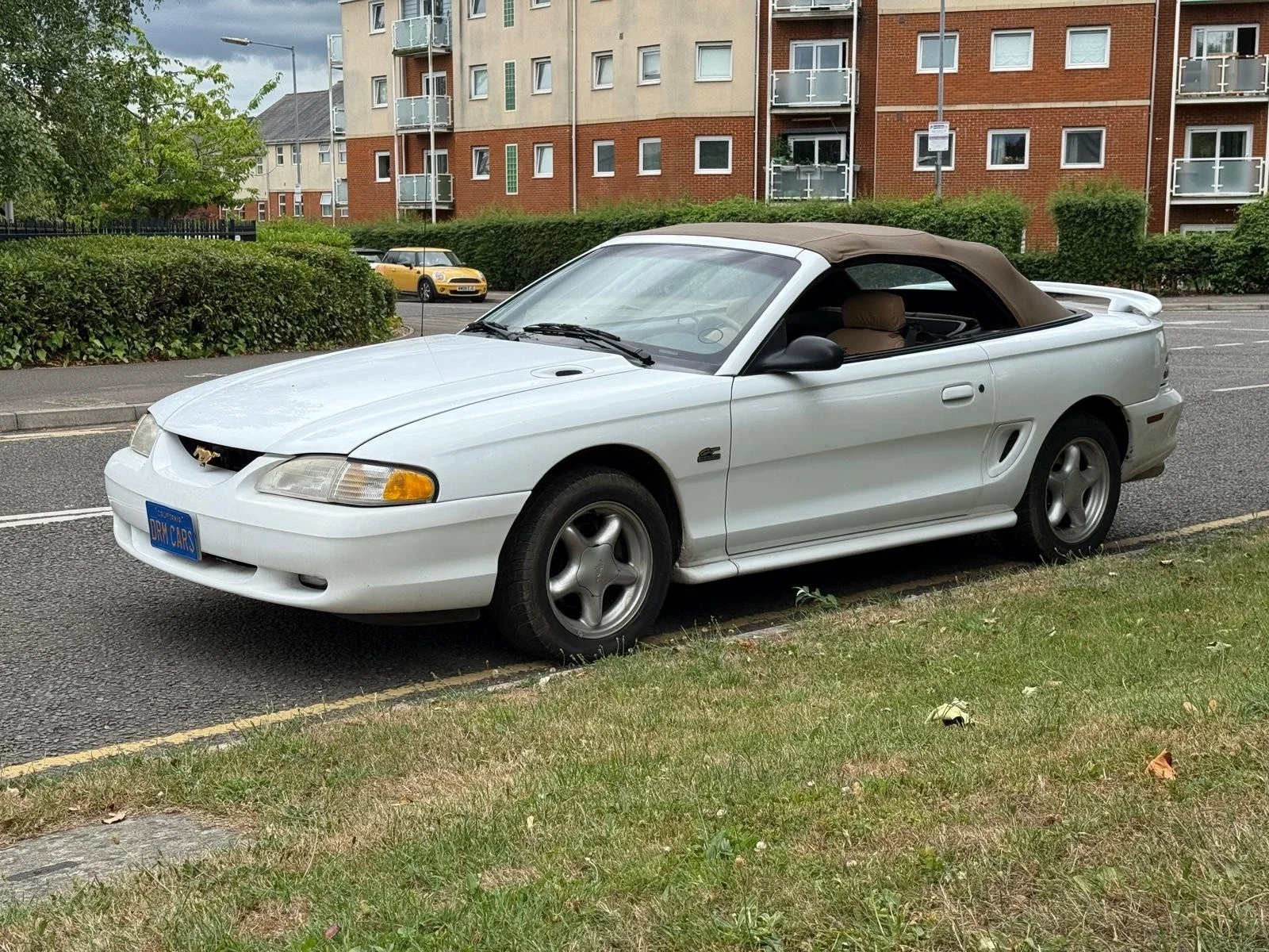 s-l1600 (6).webp