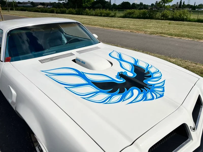 1974-pontiac-trans-am-68fa5697bbce0.webp
