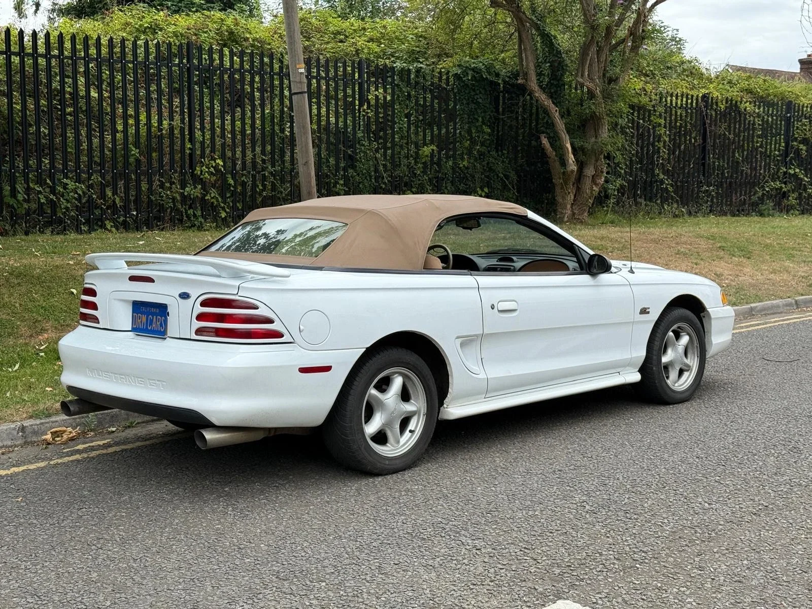 s-l1600 (2).webp