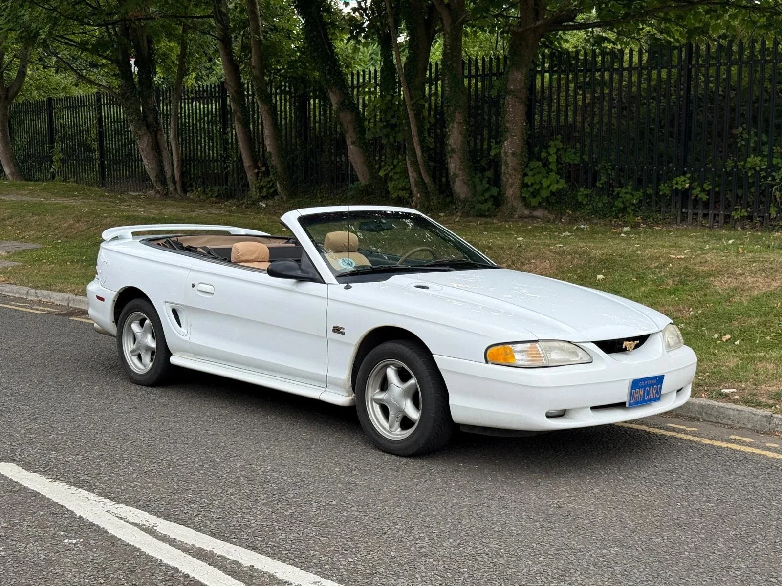 s-l1600 (11).webp
