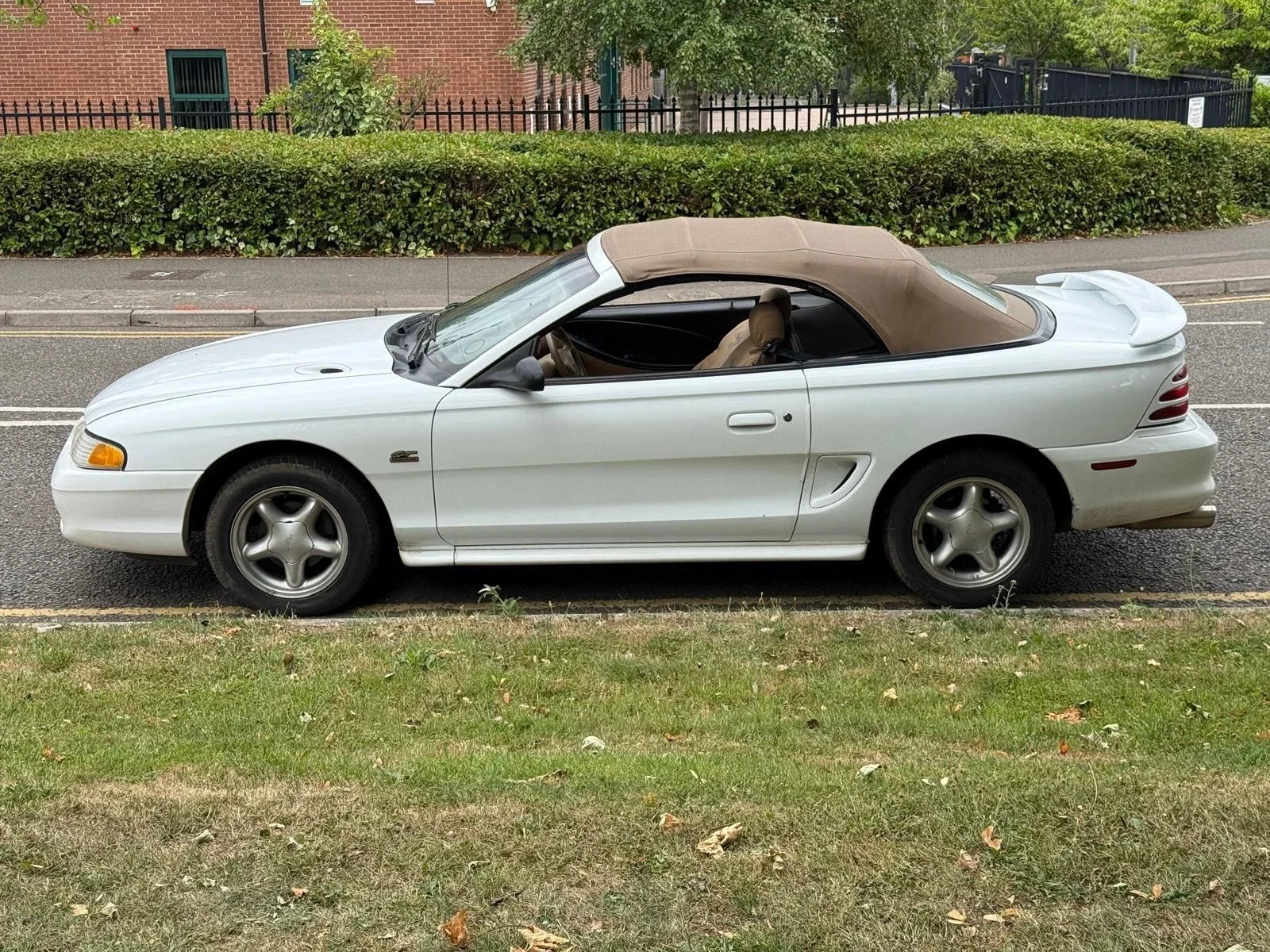 s-l1600 (5).webp