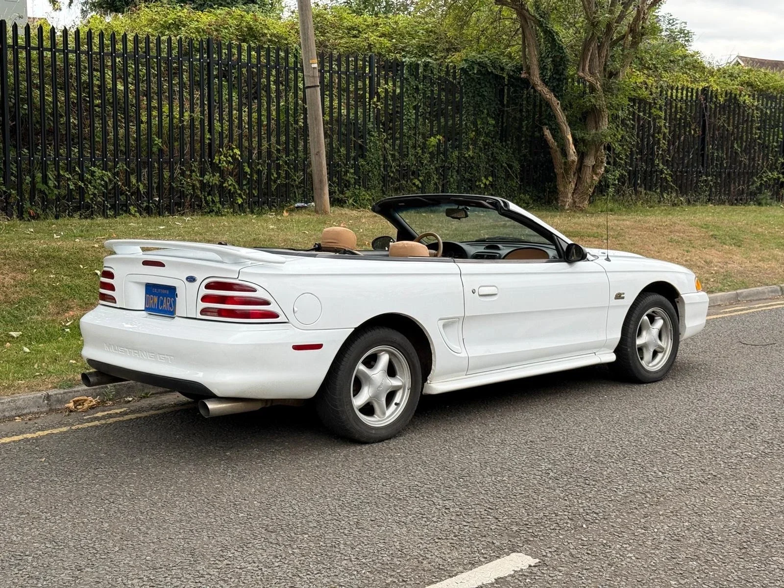 s-l1600 (13).webp