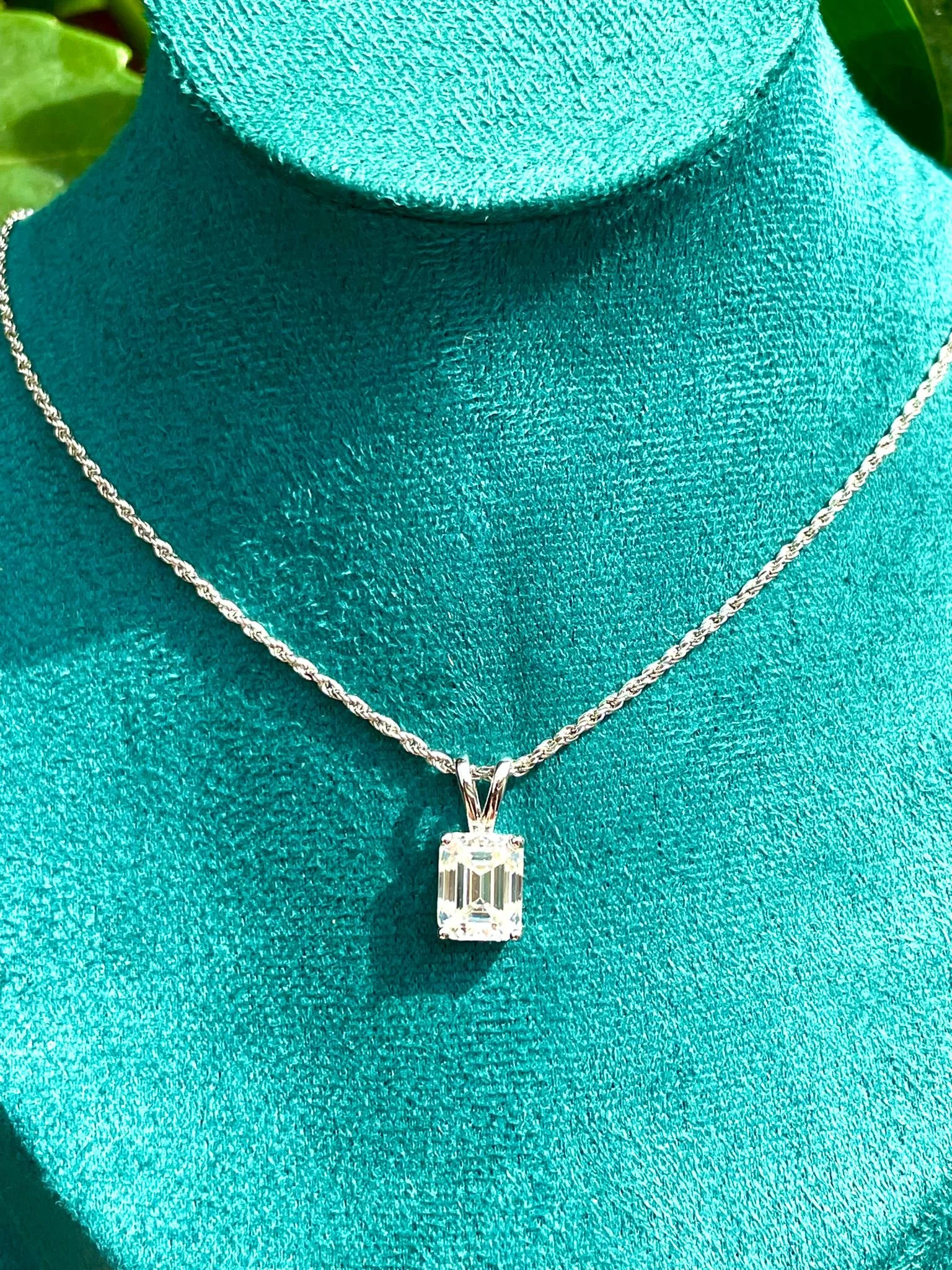 WhatsApp Image 2025-08-26 at 12.38.12 PM (3).jpeg