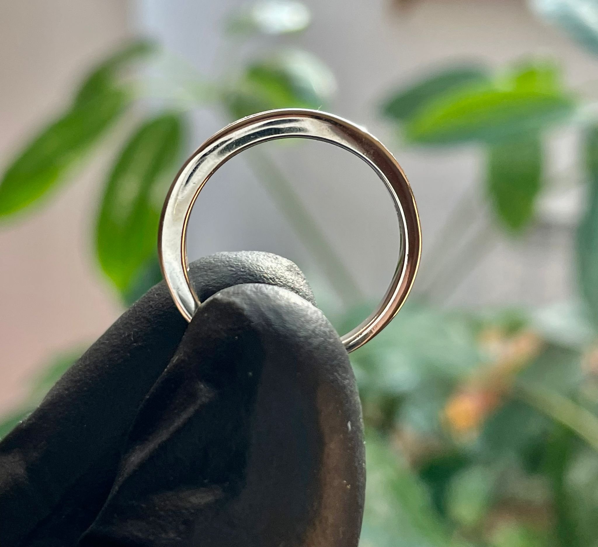 WhatsApp Image 2025-08-06 at 7.00.11 PM.jpeg