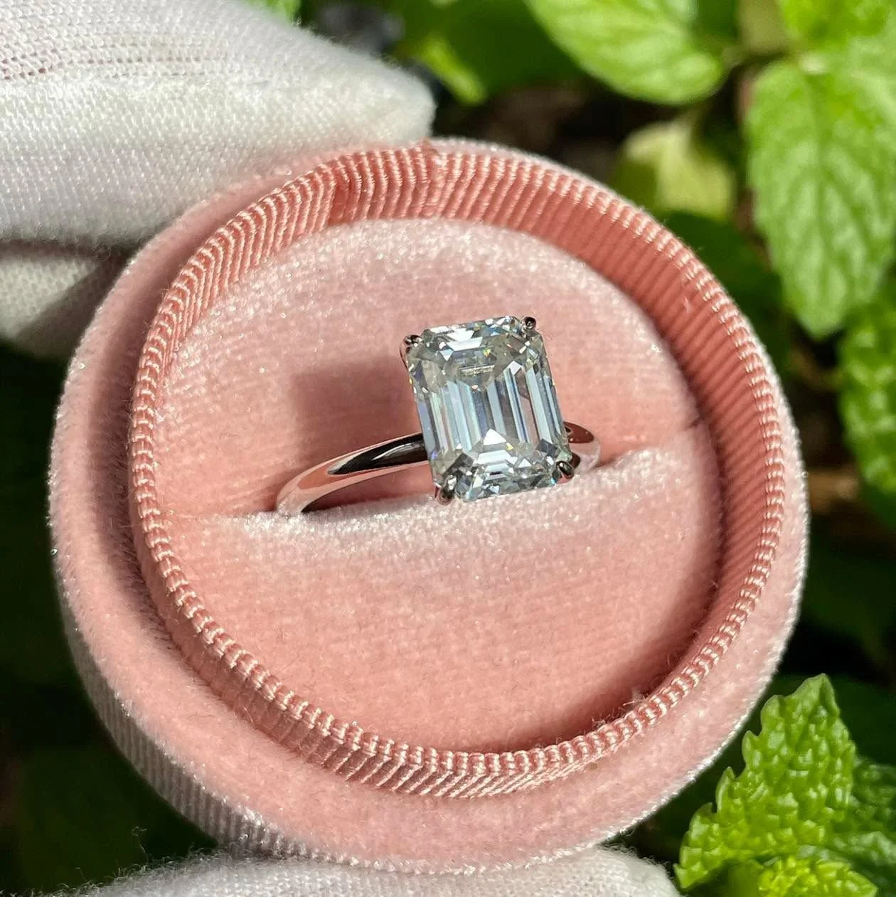 WhatsApp Image 2026-01-20 at 11.32.19 PM.jpeg