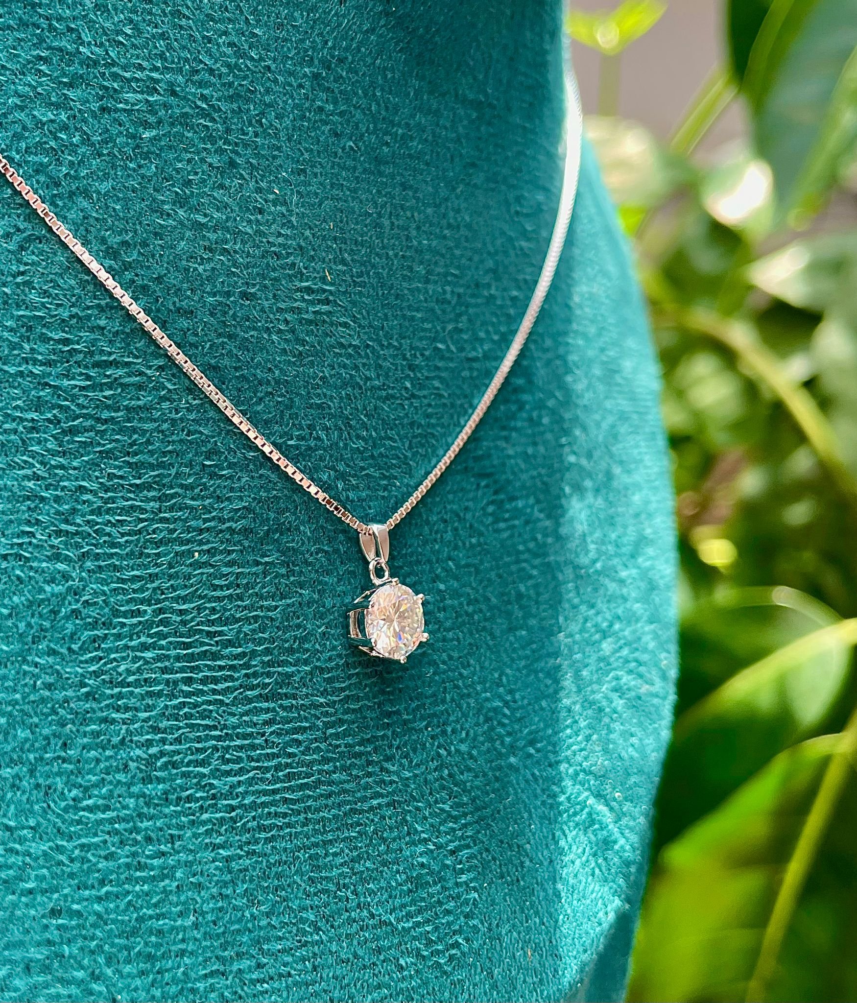 WhatsApp Image 2025-08-26 at 12.38.36 PM (2).jpeg