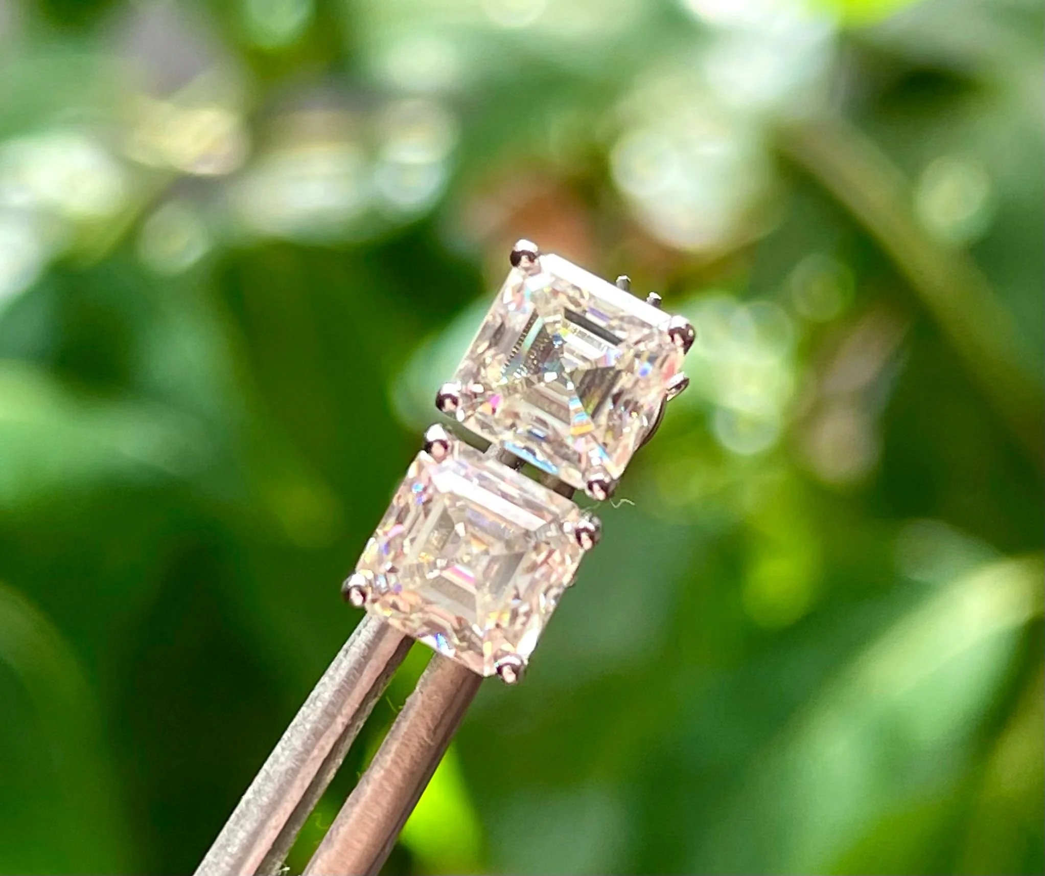 WhatsApp Image 2025-08-26 at 12.36.57 PM (2).jpeg