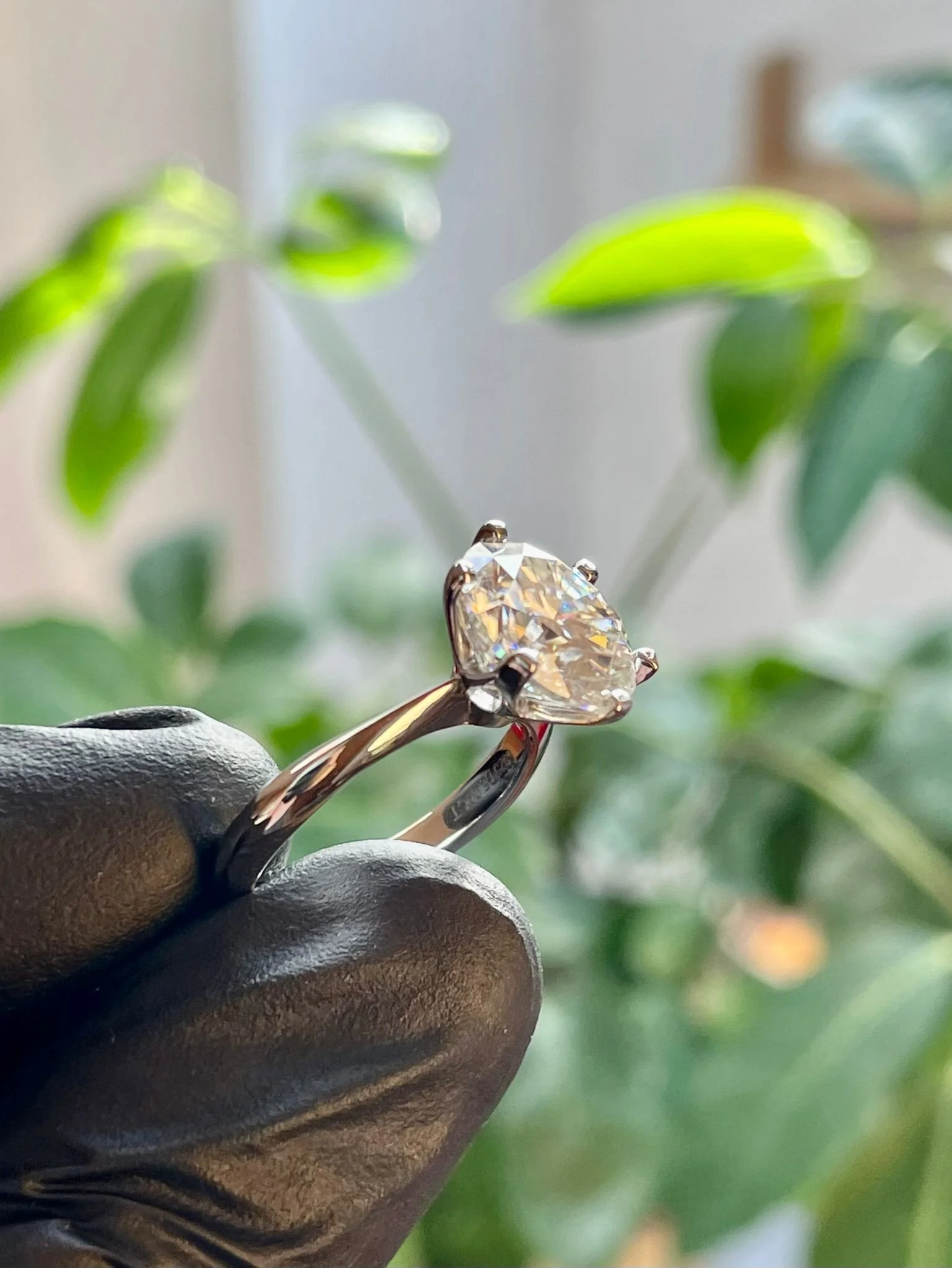 WhatsApp Image 2025-08-06 at 6.51.52 PM (1).jpeg