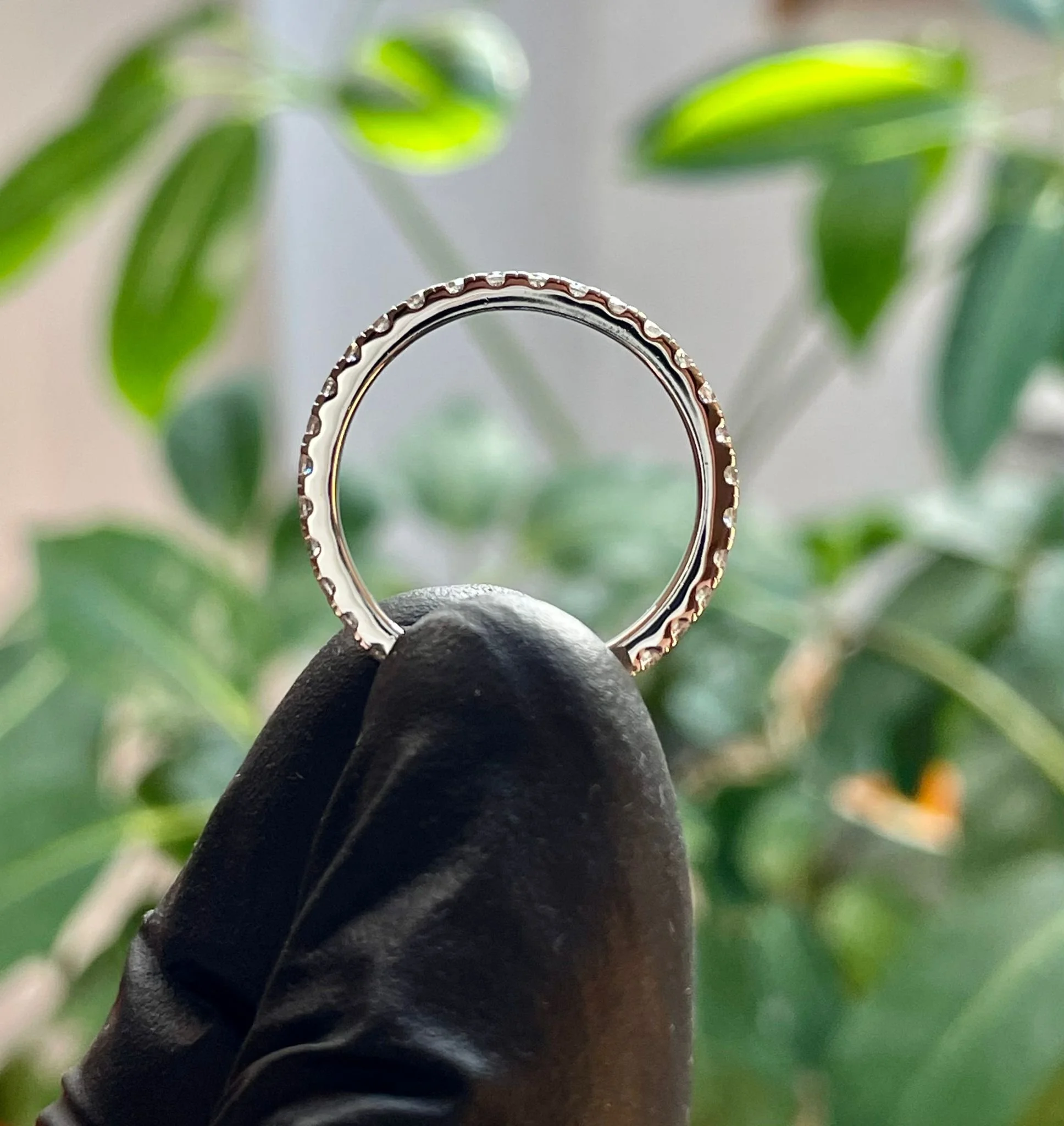 WhatsApp Image 2025-08-06 at 6.57.27 PM.jpeg