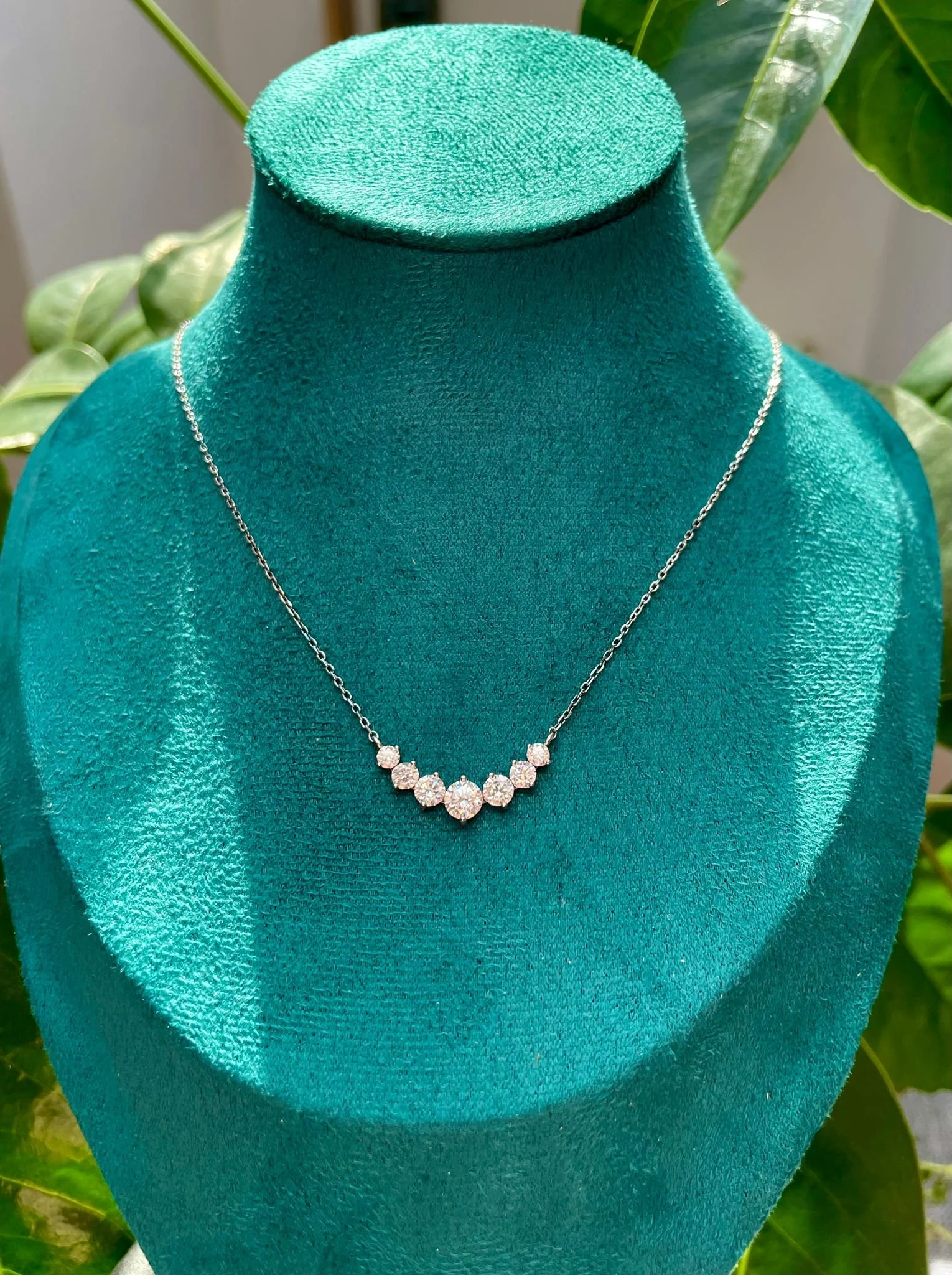 WhatsApp Image 2025-08-26 at 12.38.45 PM.jpeg