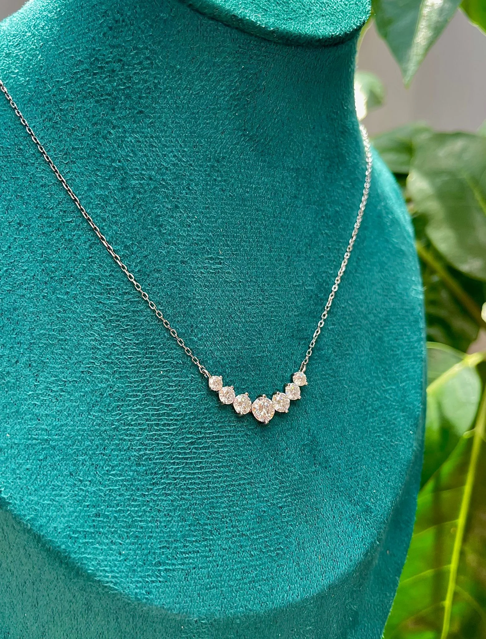 WhatsApp Image 2025-08-26 at 12.38.45 PM (2).jpeg