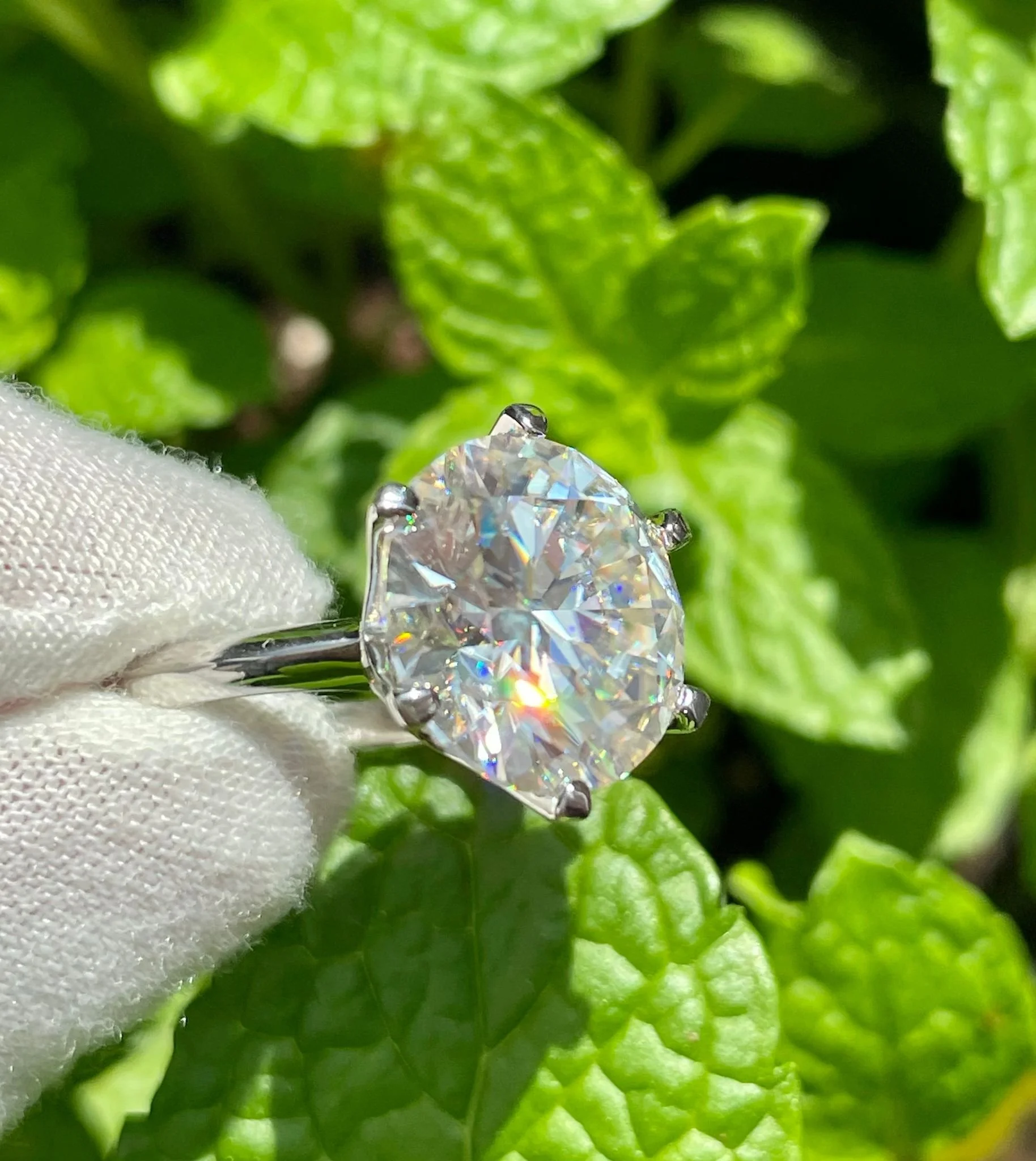 WhatsApp Image 2025-07-25 at 1.00.32 AM (3).jpeg