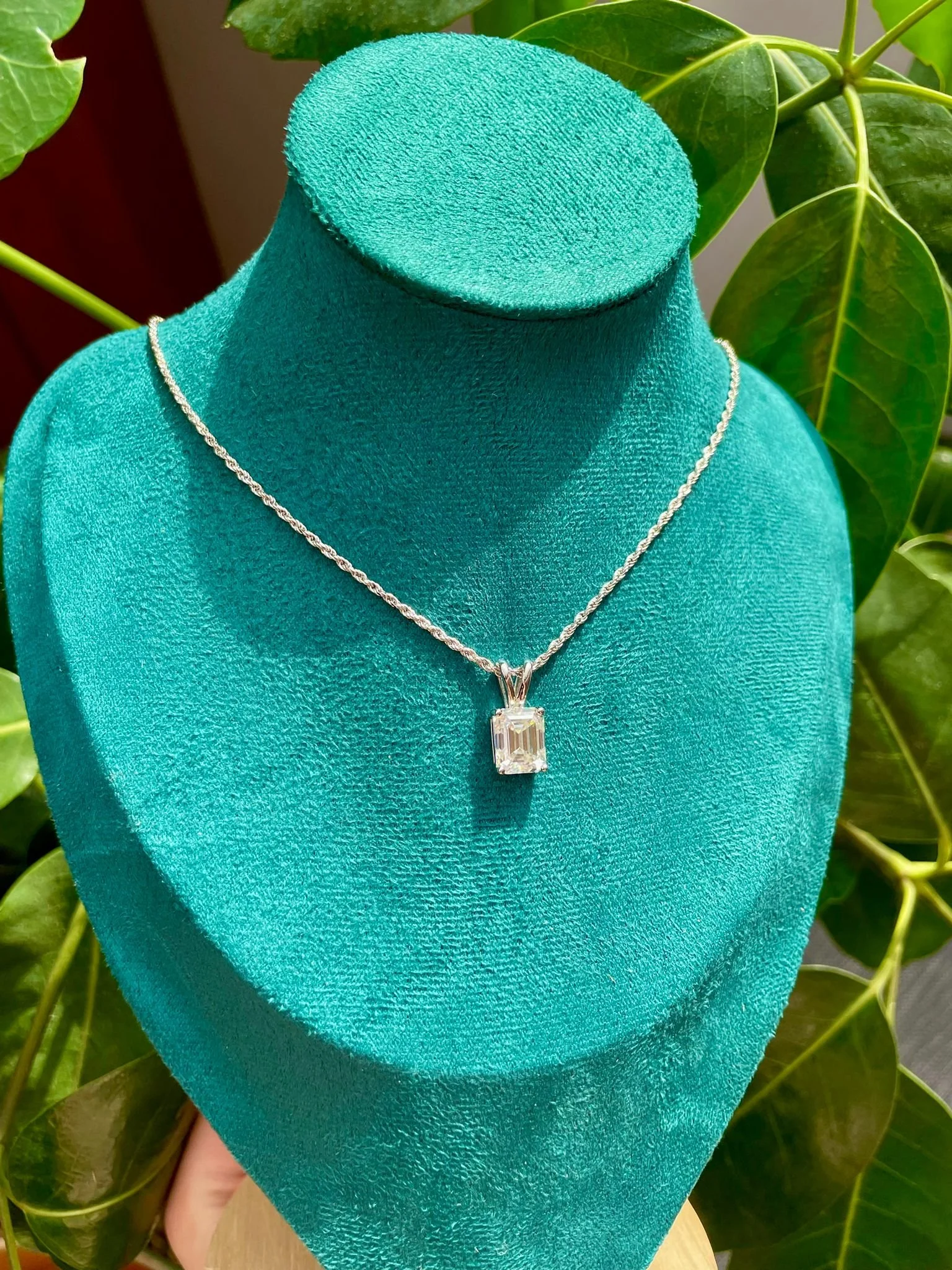 WhatsApp Image 2025-08-26 at 12.38.12 PM (2).jpeg