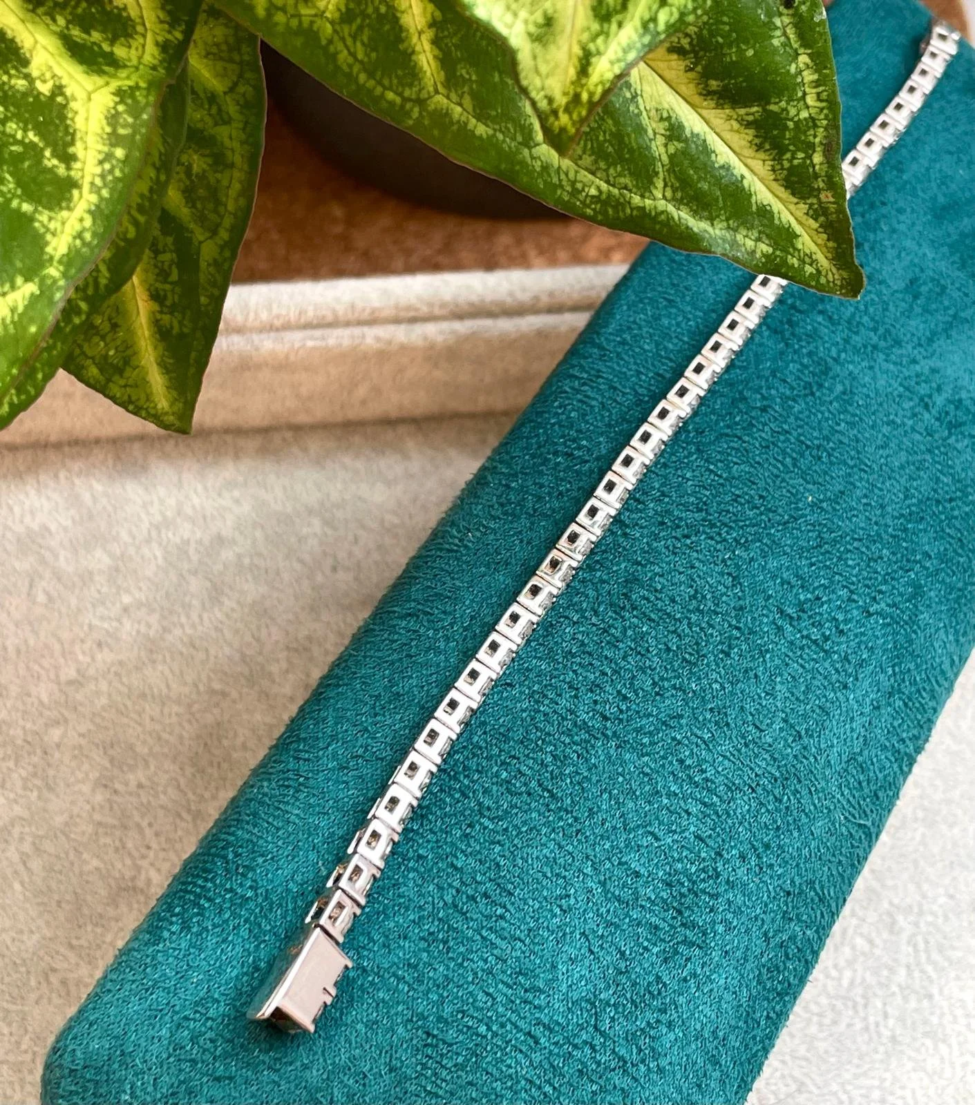 WhatsApp Image 2025-10-19 at 5.55.38 PM (5).jpeg