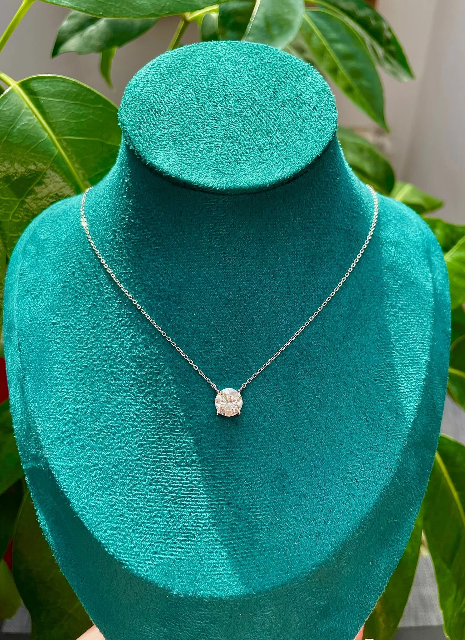 WhatsApp Image 2025-08-26 at 12.38.25 PM.jpeg