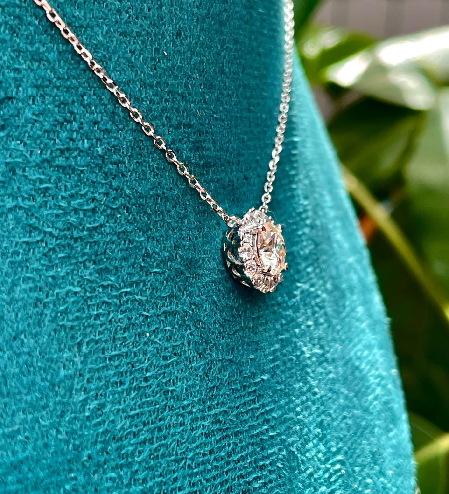 WhatsApp Image 2025-08-26 at 12.37.53 PM (1).jpeg