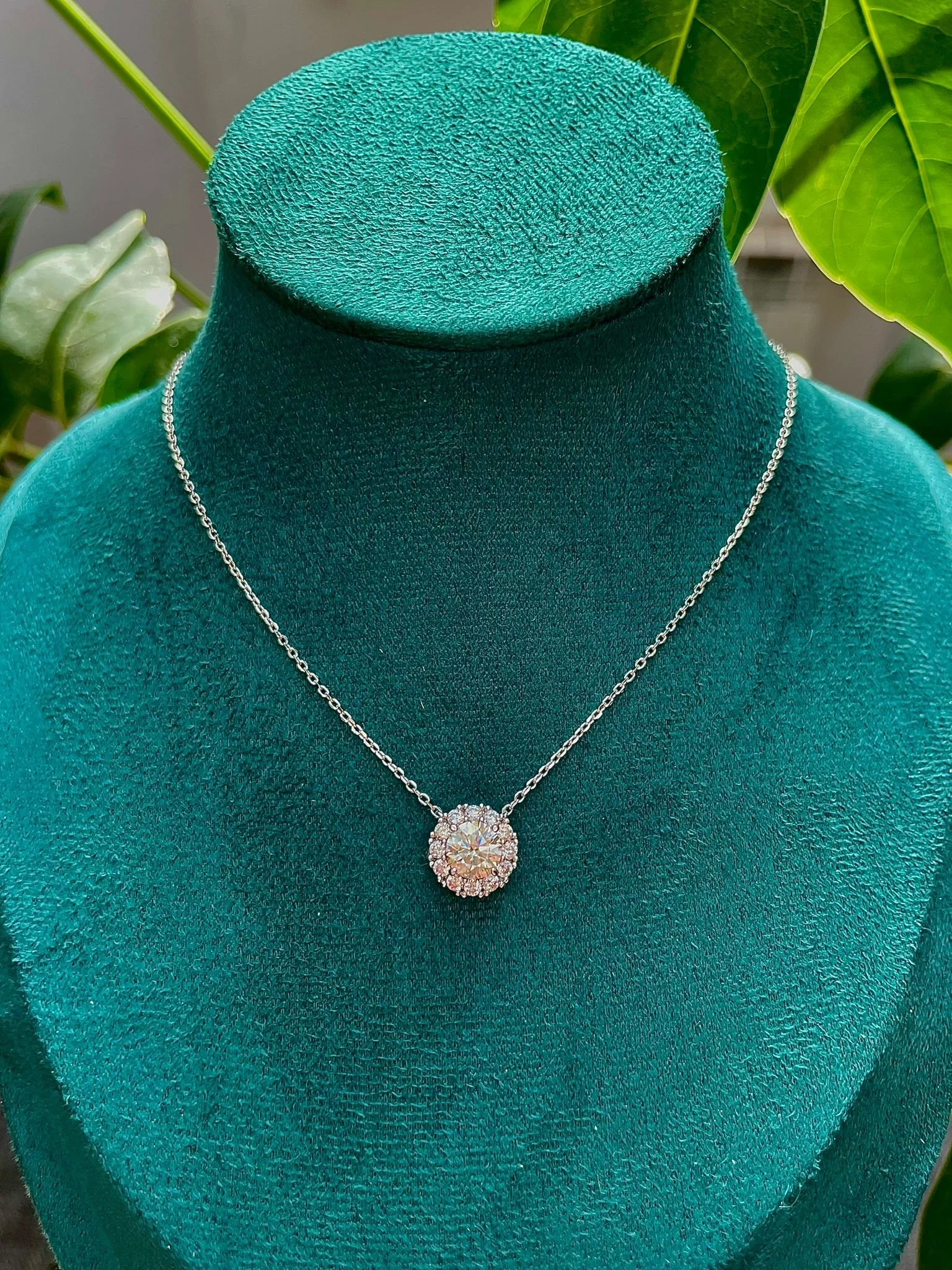 WhatsApp Image 2025-08-26 at 12.37.53 PM (3).jpeg