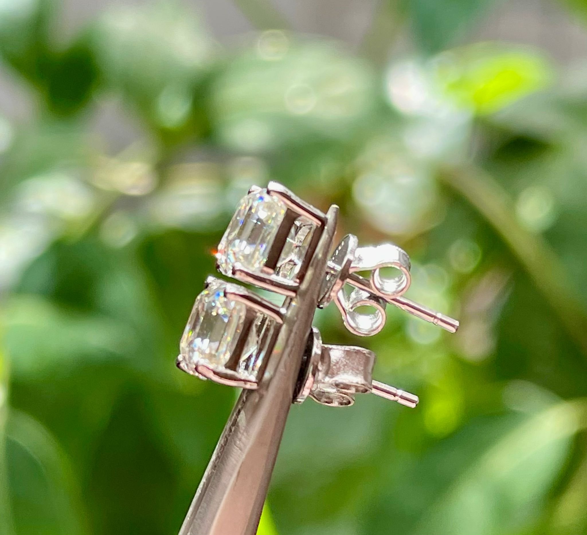 WhatsApp Image 2025-08-26 at 12.36.57 PM.jpeg