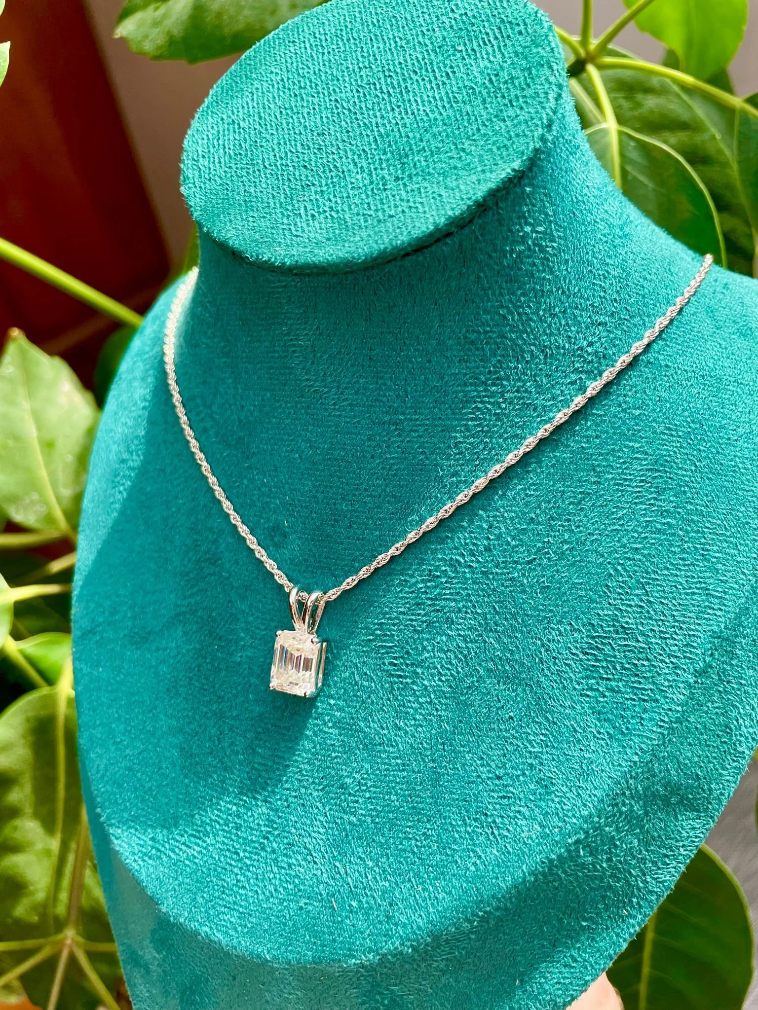 WhatsApp Image 2025-08-26 at 12.38.12 PM.jpeg