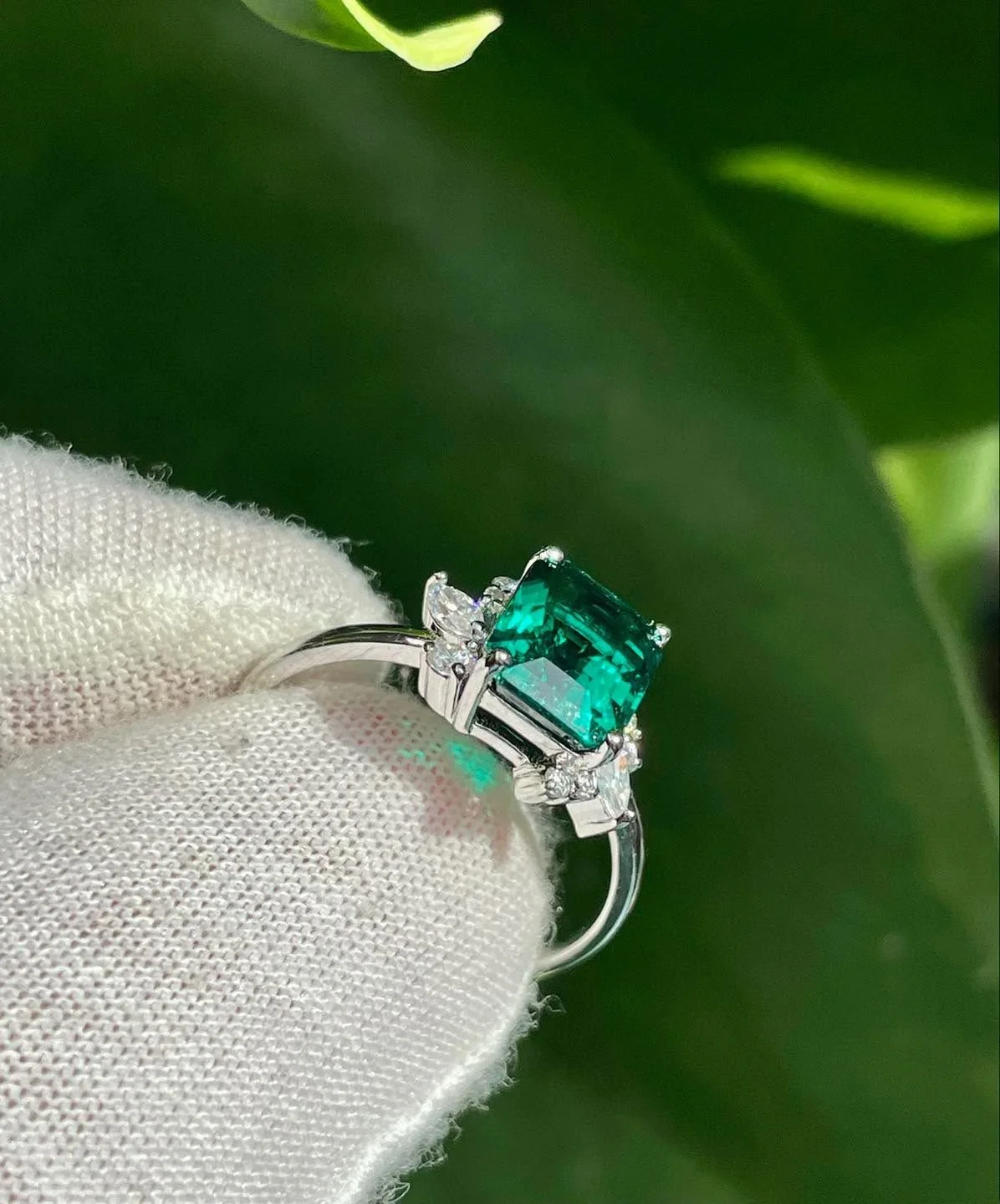 WhatsApp Image 2025-07-25 at 12.55.20 AM.jpeg