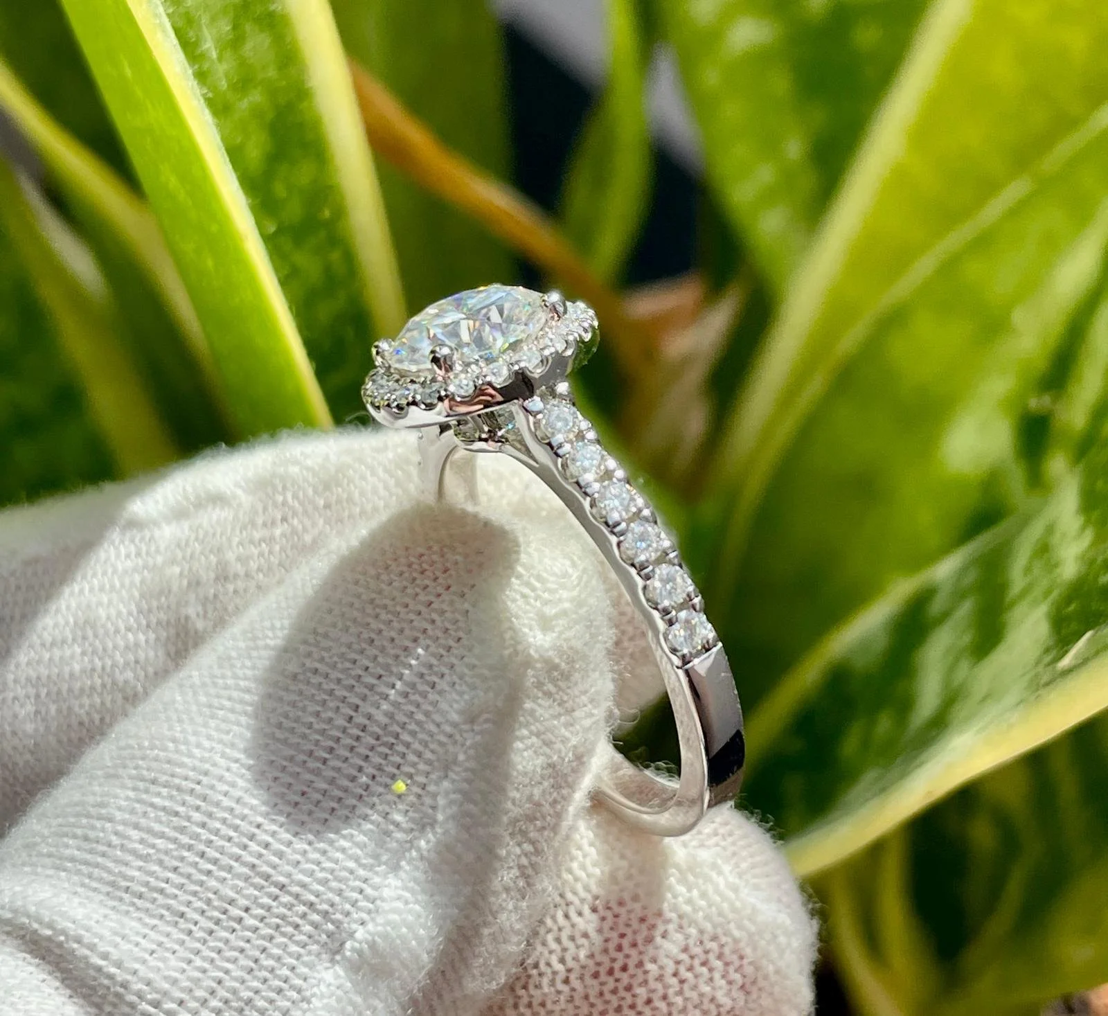 WhatsApp Image 2025-07-24 at 11.30.30 PM (2).jpeg