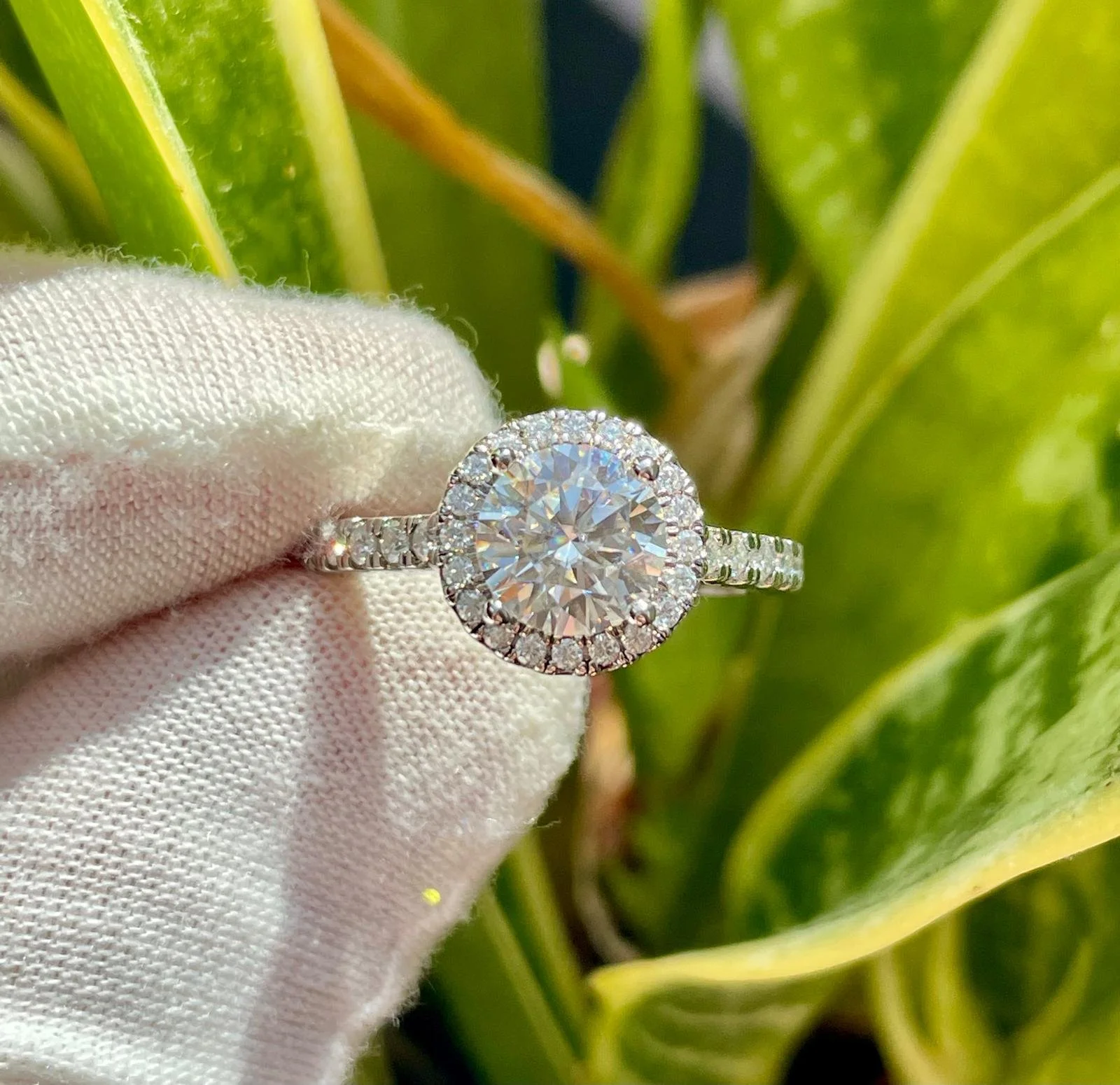 WhatsApp Image 2025-07-24 at 11.30.30 PM (1).jpeg