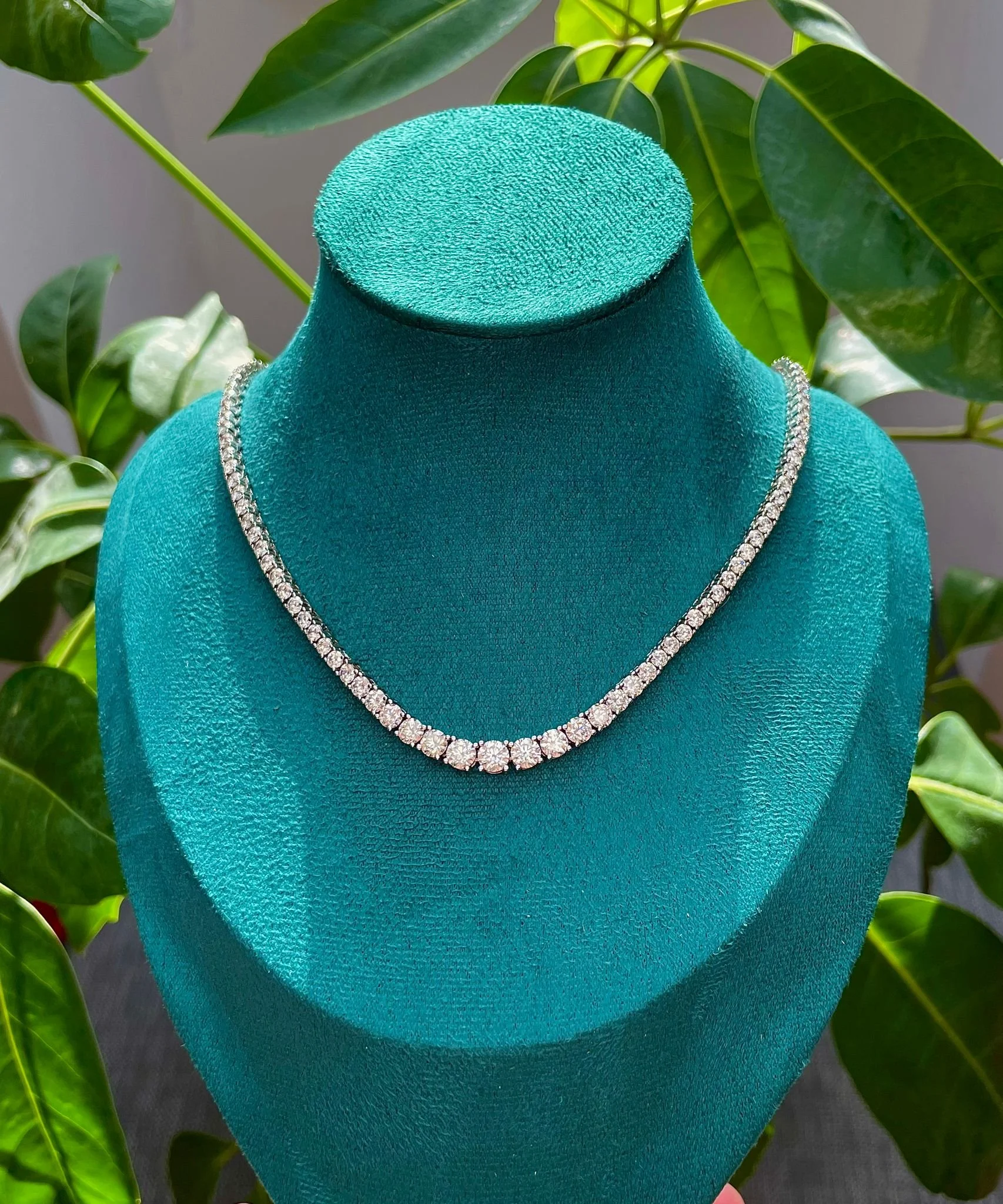 WhatsApp Image 2025-08-26 at 12.37.39 PM.jpeg