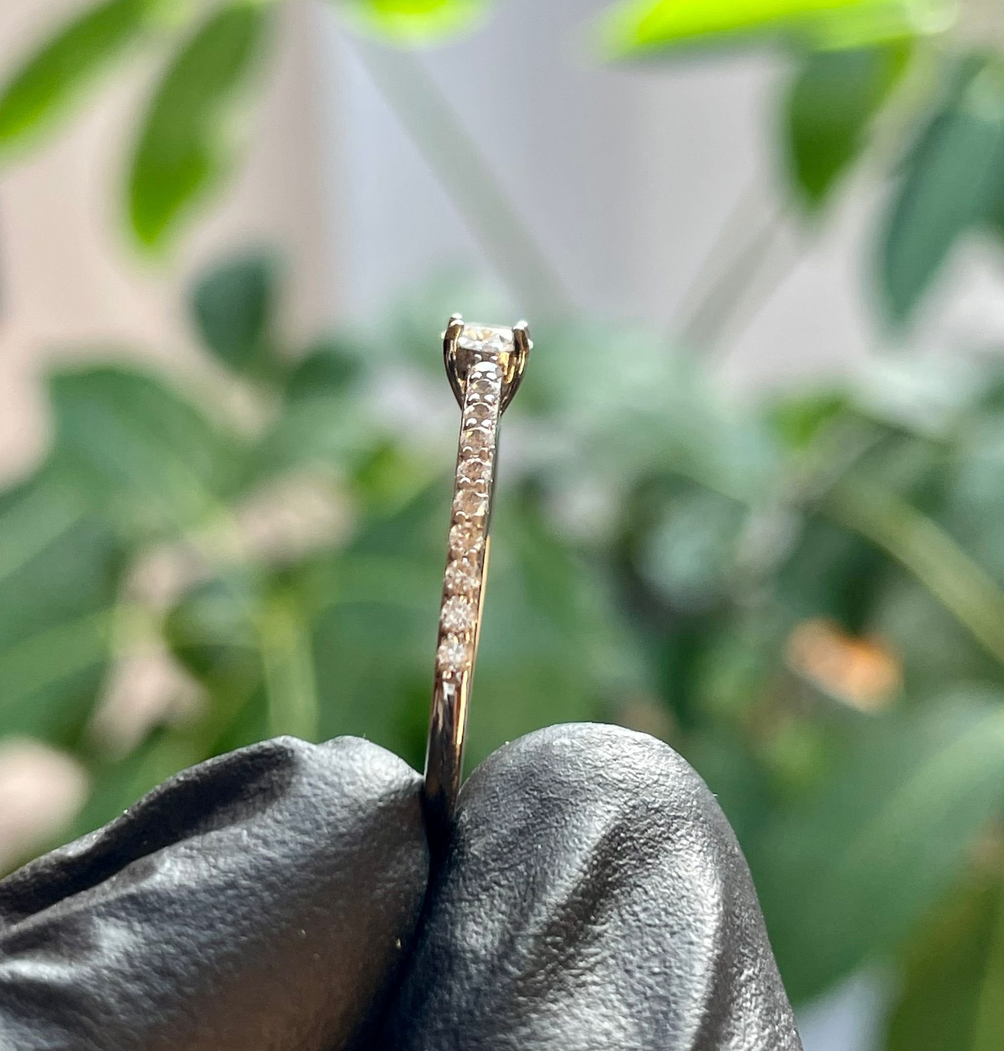 WhatsApp Image 2025-08-06 at 6.53.59 PM.jpeg