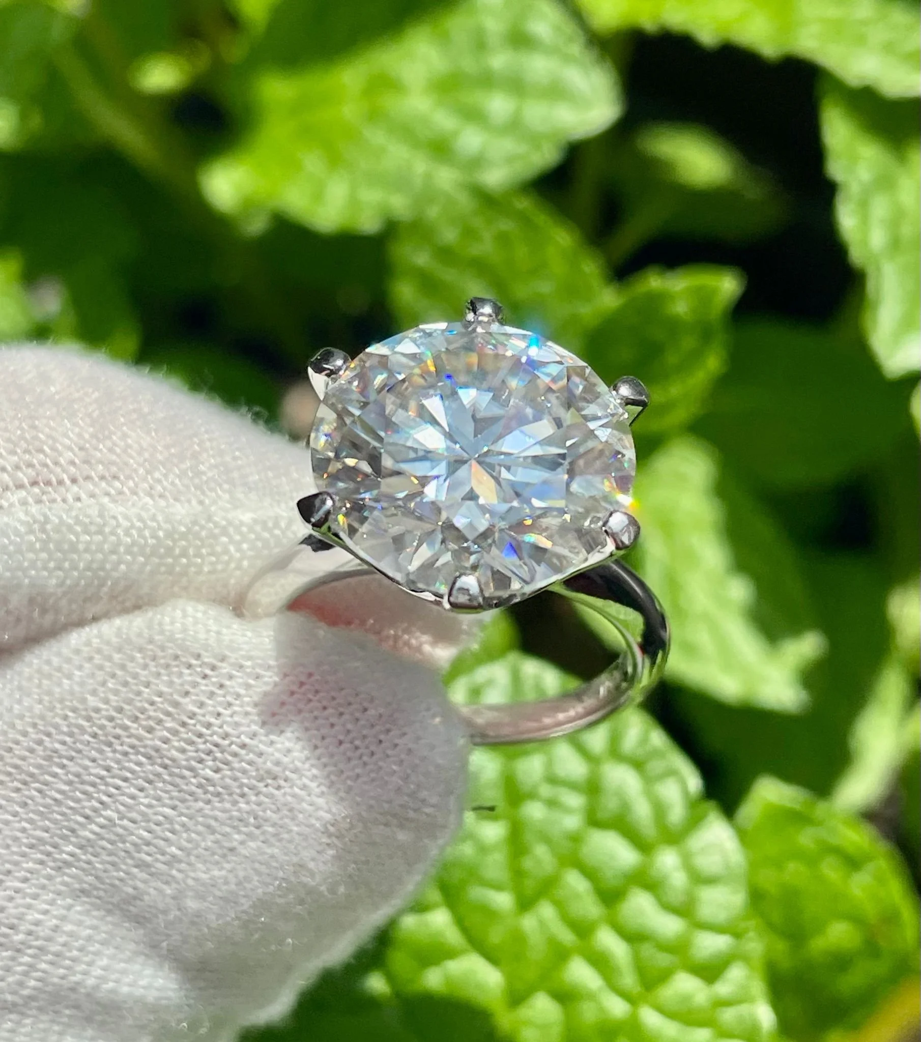 WhatsApp Image 2025-07-25 at 1.00.32 AM (2).jpeg