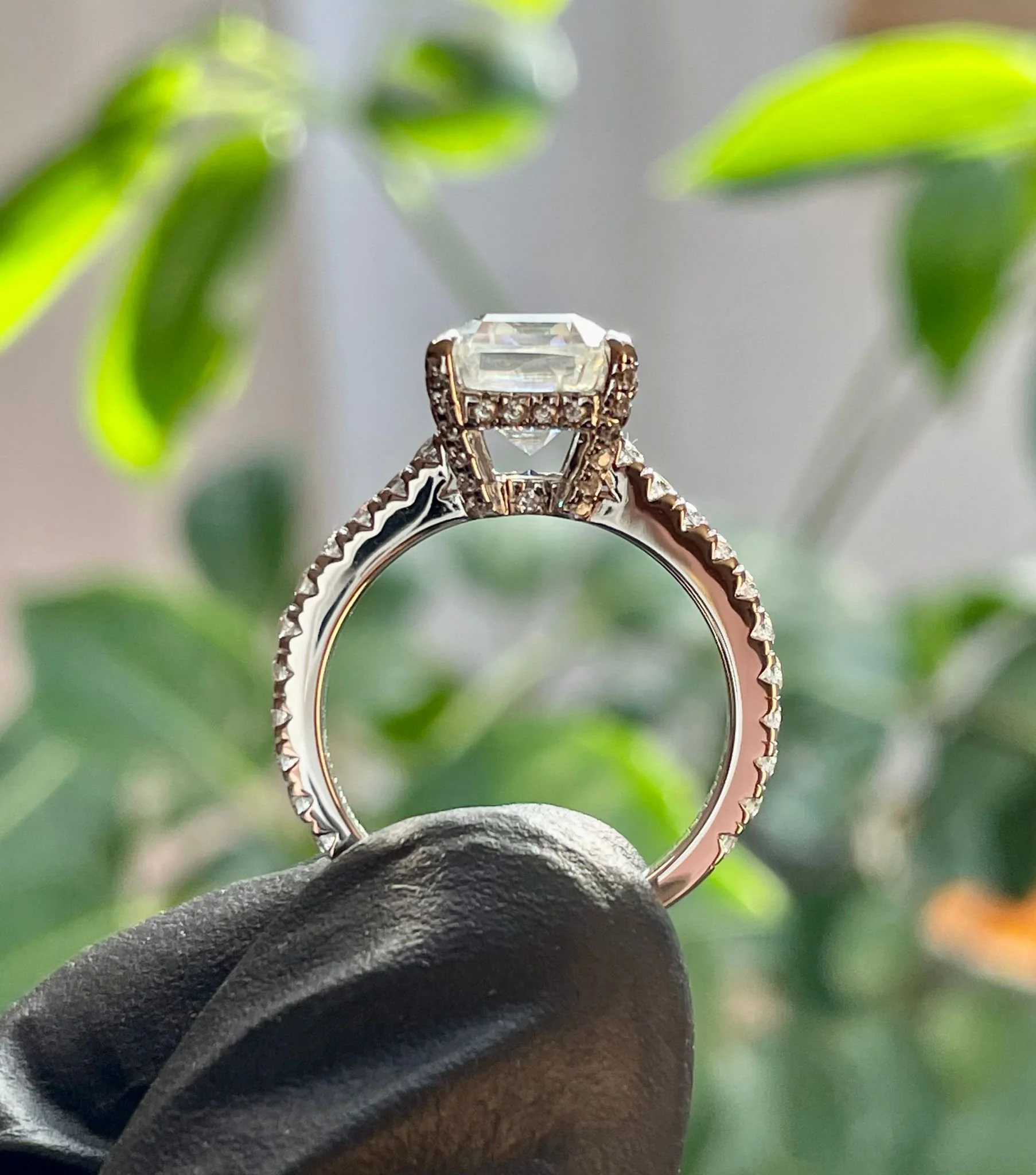 WhatsApp Image 2025-08-06 at 6.45.26 PM.jpeg