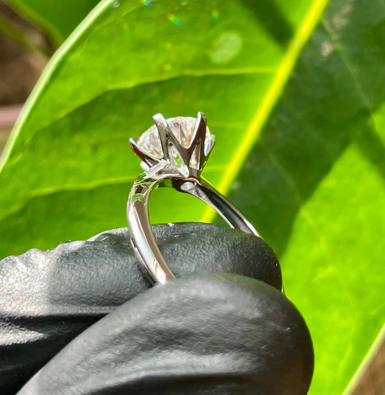 WhatsApp Image 2025-08-06 at 6.17.01 PM (4).jpeg