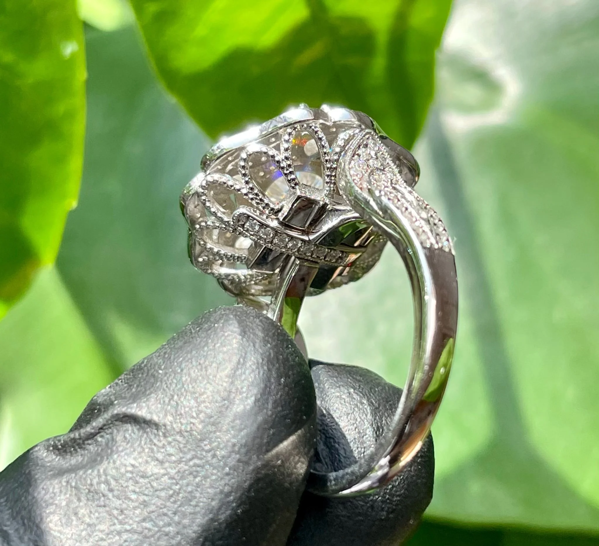 WhatsApp Image 2025-07-30 at 5.57.12 PM.jpeg