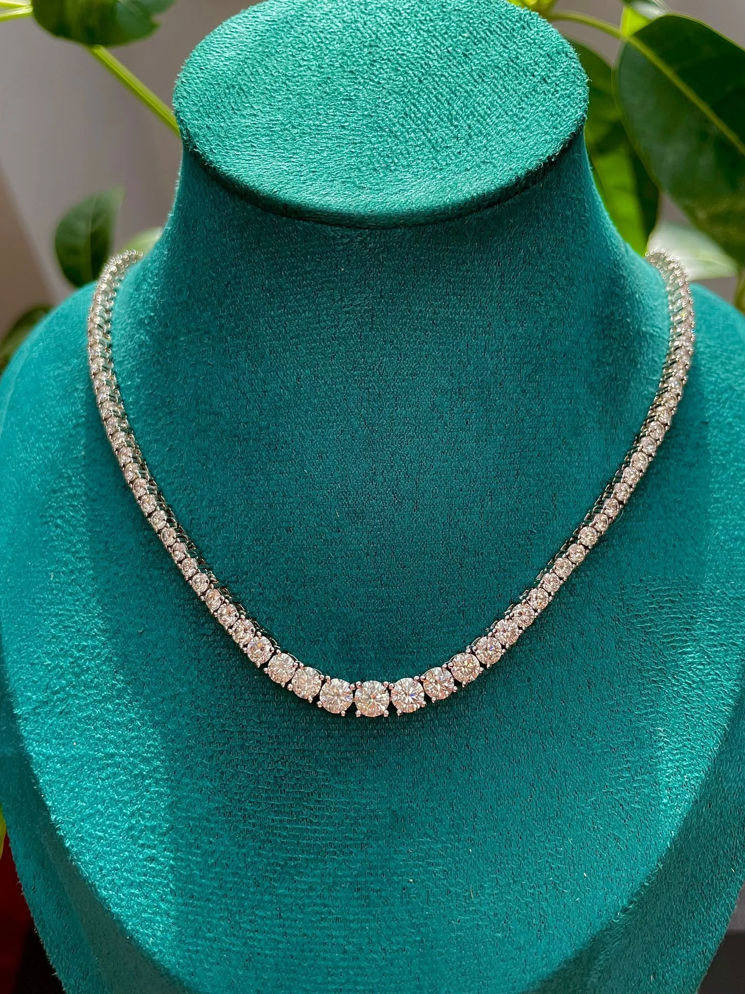 WhatsApp Image 2025-08-26 at 12.37.40 PM (1).jpeg