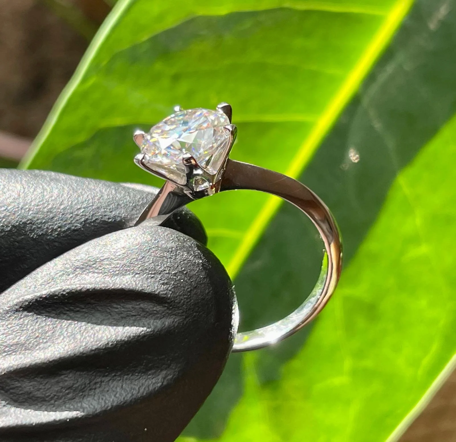 WhatsApp Image 2025-08-06 at 6.17.01 PM (3).jpeg