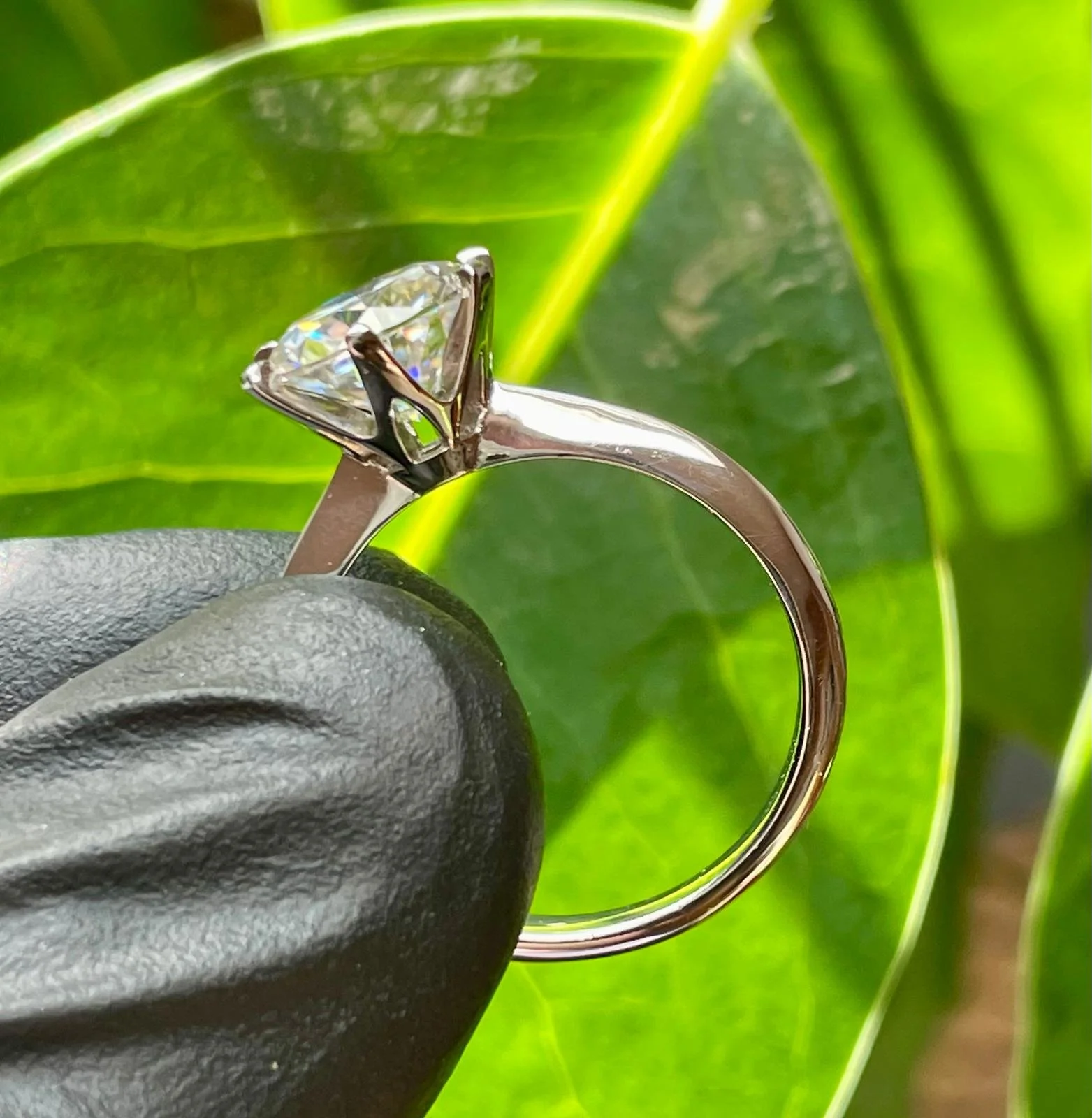 WhatsApp Image 2025-08-06 at 6.17.01 PM (1).jpeg