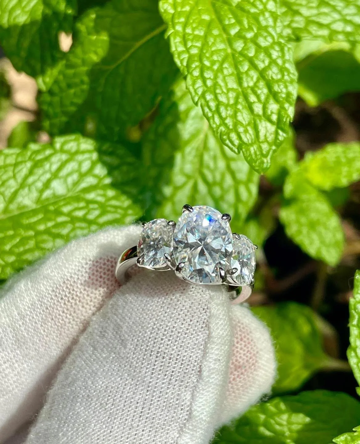 WhatsApp Image 2025-07-24 at 11.30.25 PM.jpeg