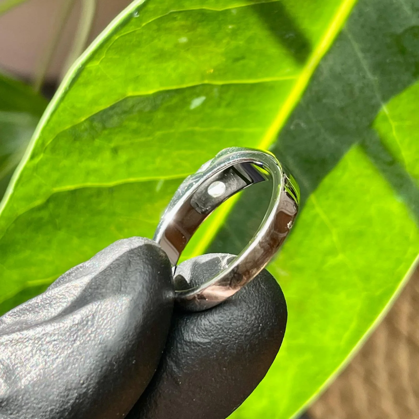 WhatsApp Image 2025-08-06 at 6.23.46 PM (2).jpeg